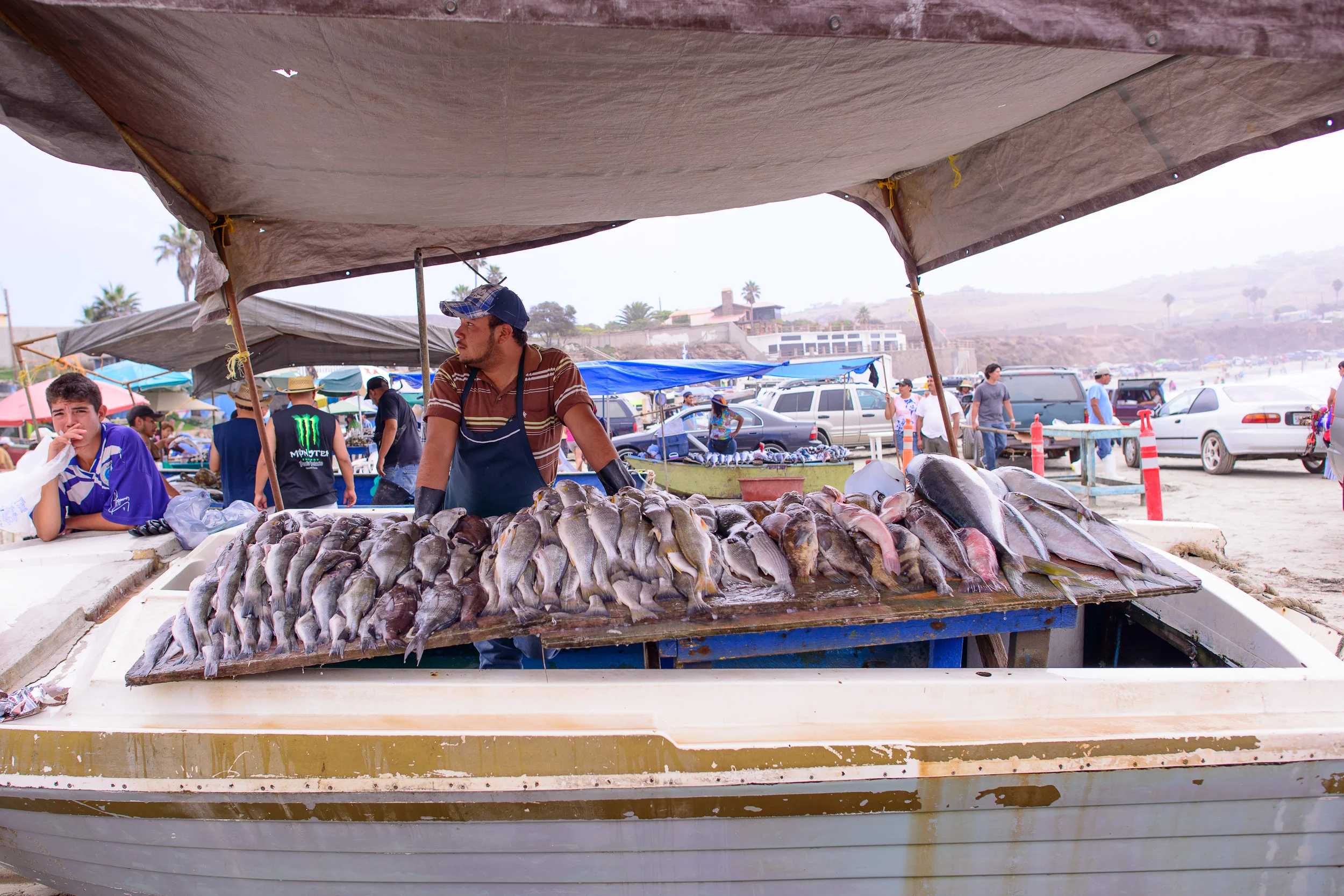 Selection of fish for ceviche