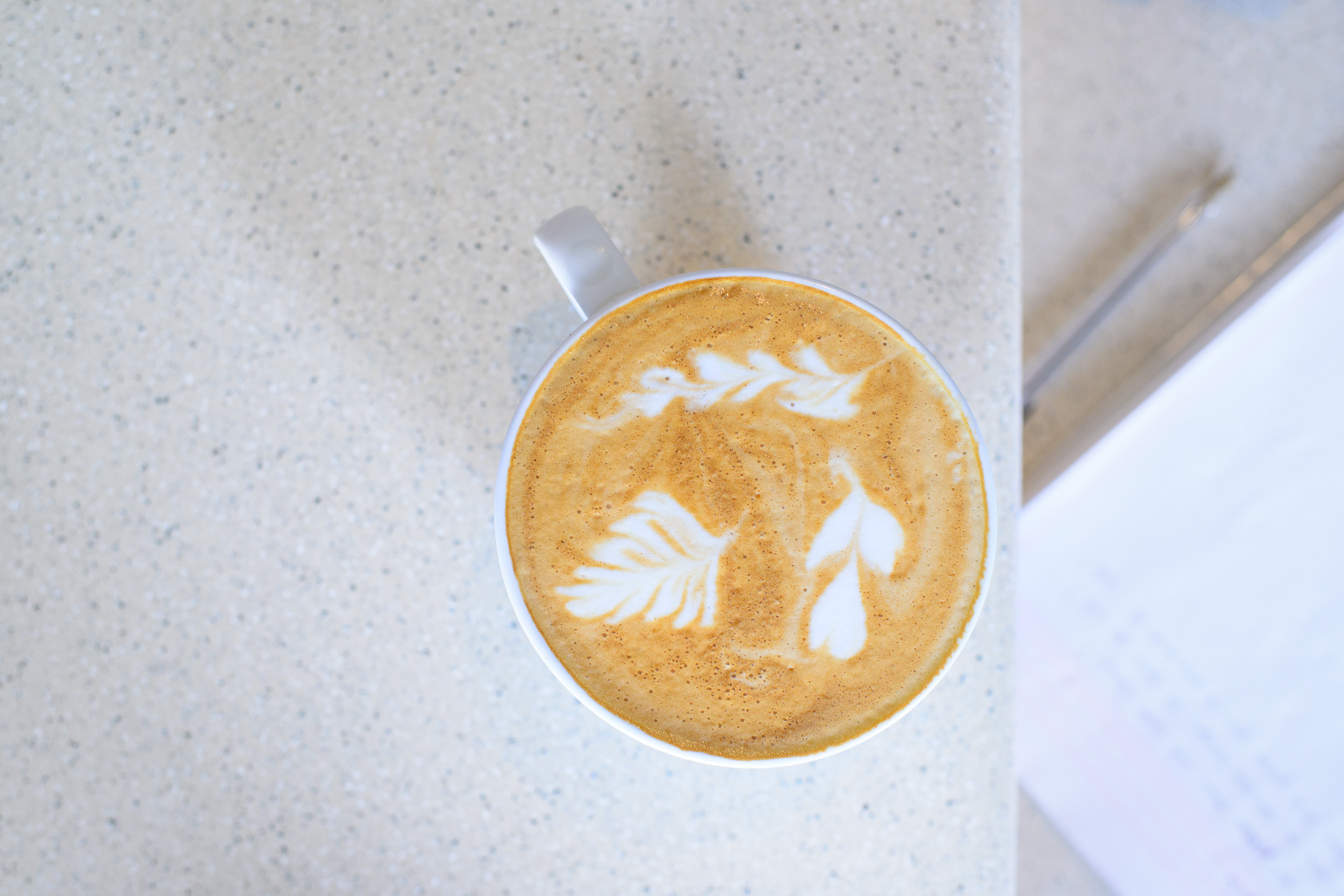 Cappuccino with beans from Valle Cuilco, Soconusco, Chiapas