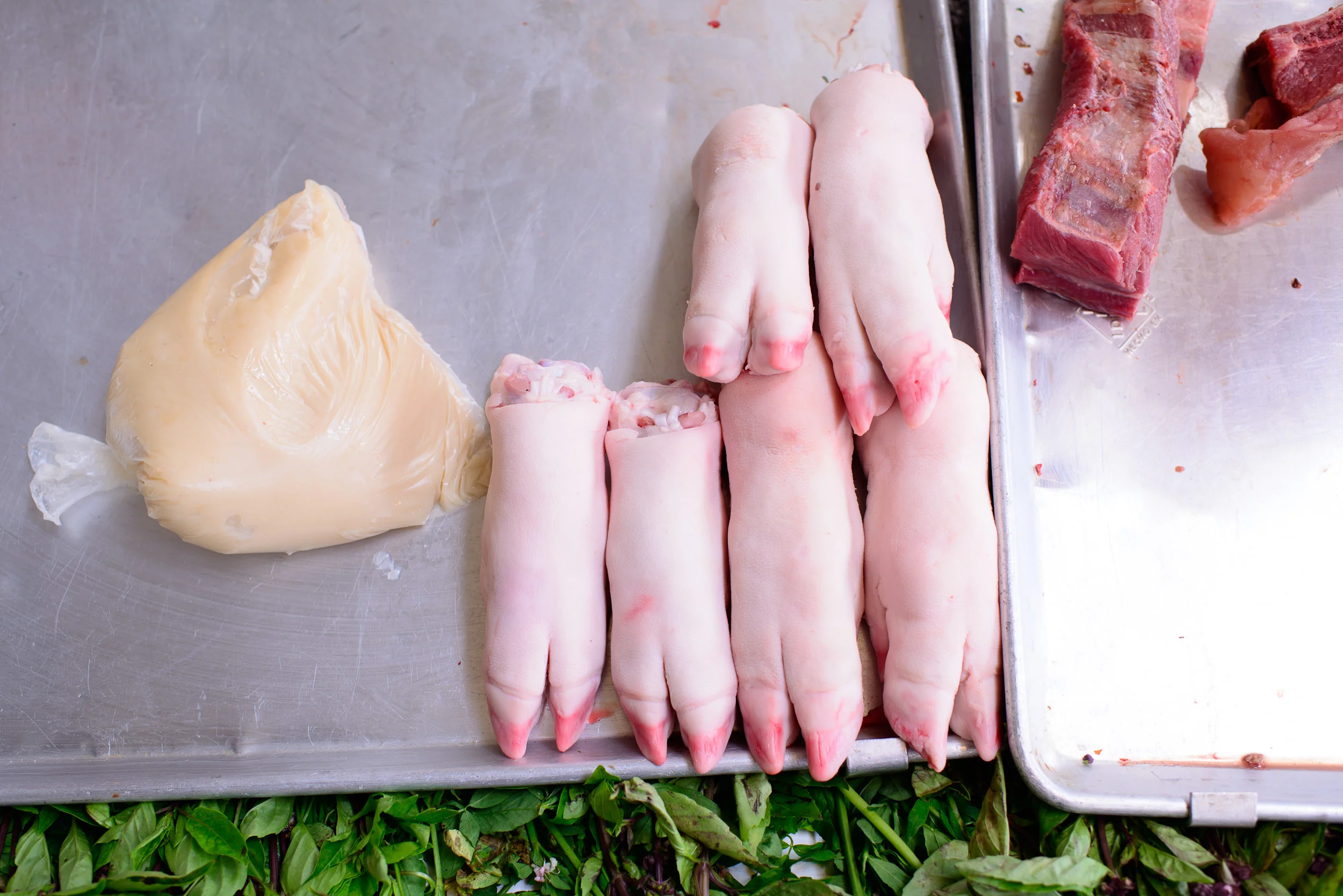 Pig feet