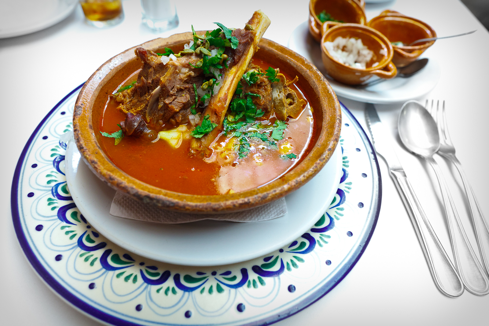 Huaxmole de Puebla (garnished)- Goat stew with onion, local squash seeds, and cilantro