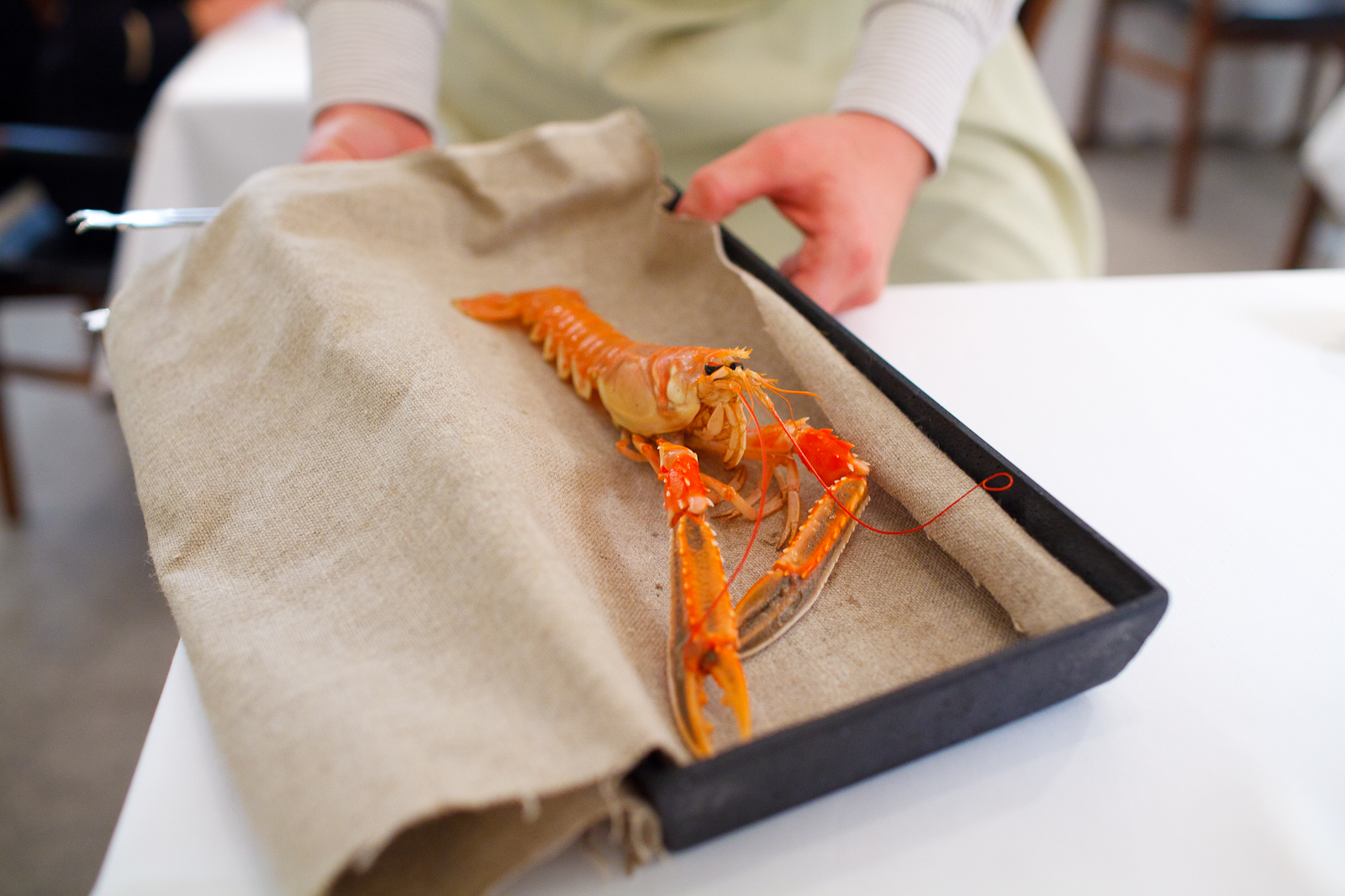Presentation of a live langoustine for the second amuse bouche. Killed moments before service to maintain the natural shellfish sweetness..jpg