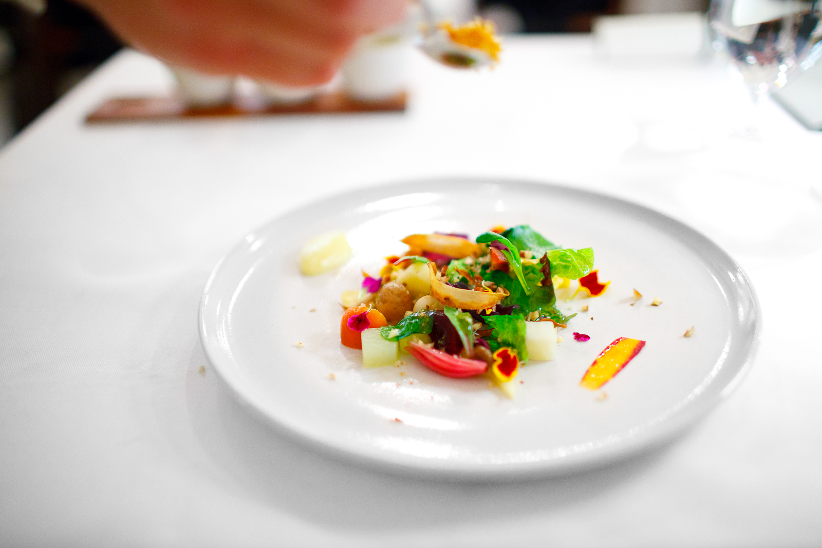 2nd Course: Vegetables from the garden "satio tempestas" with melted herbs, fresh nuts, and crispy fish scales