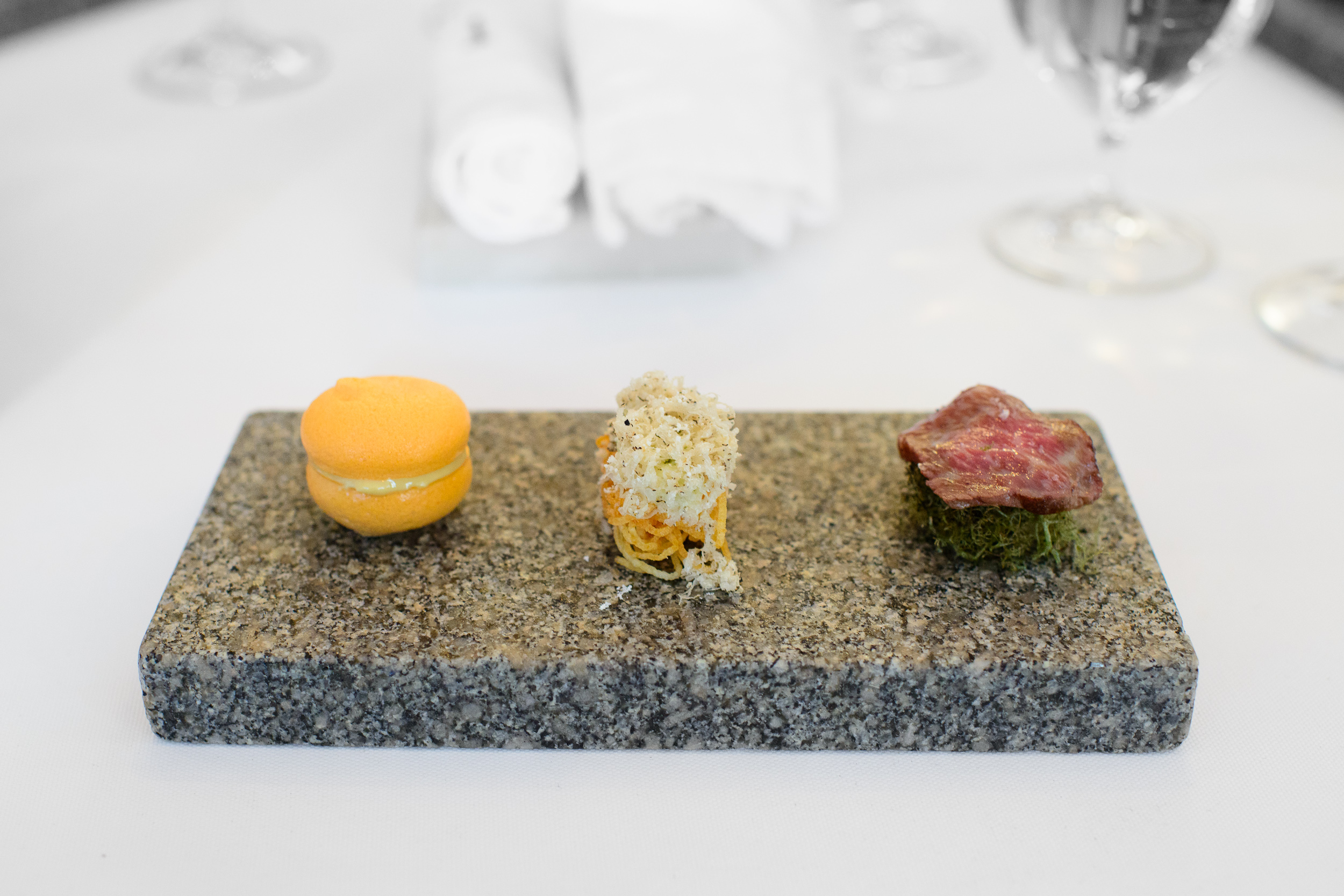 1st Course: Beef from A. Larsson, lichens, and ash, carrot and f