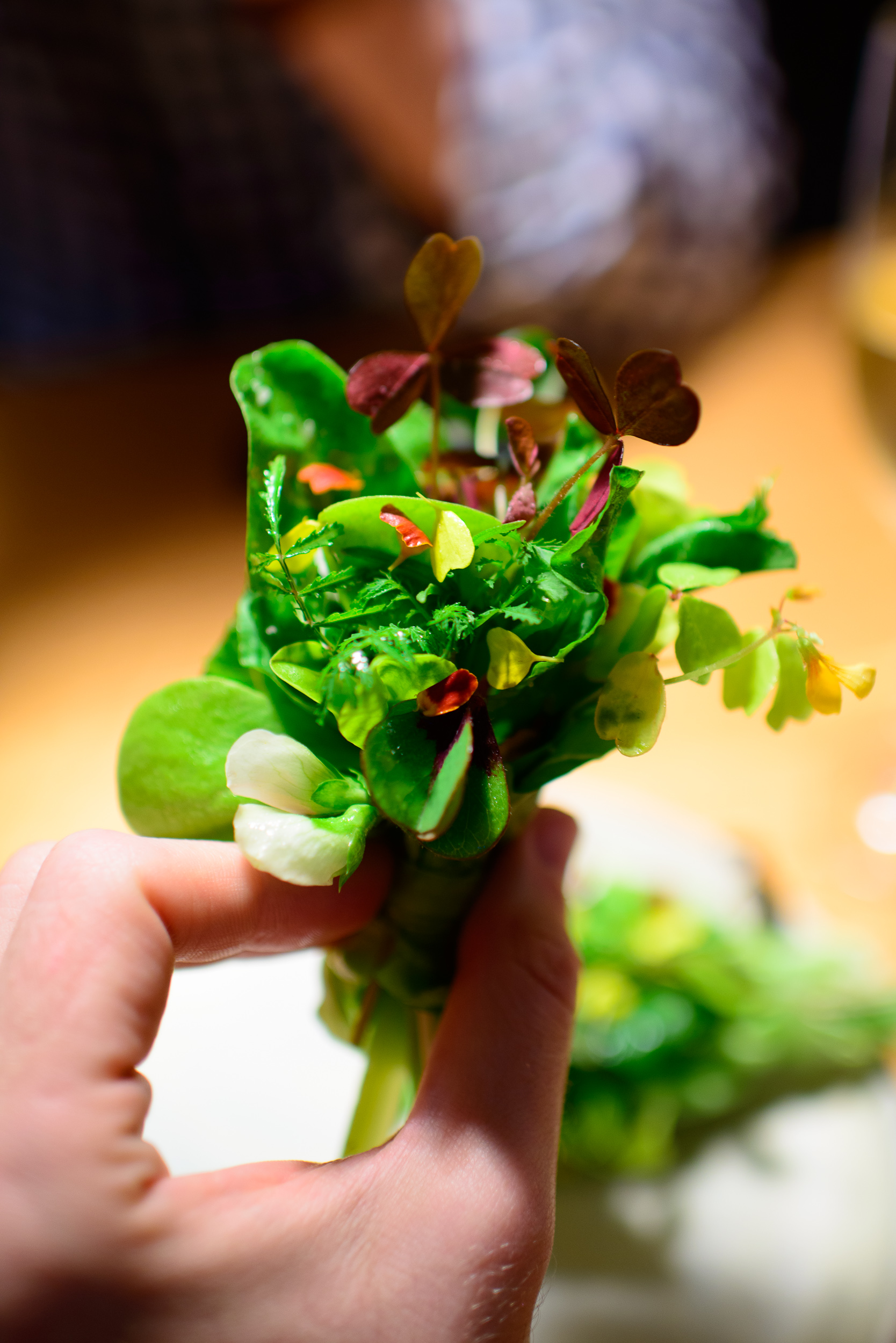 1st Course: Herbs and pistachio, up close