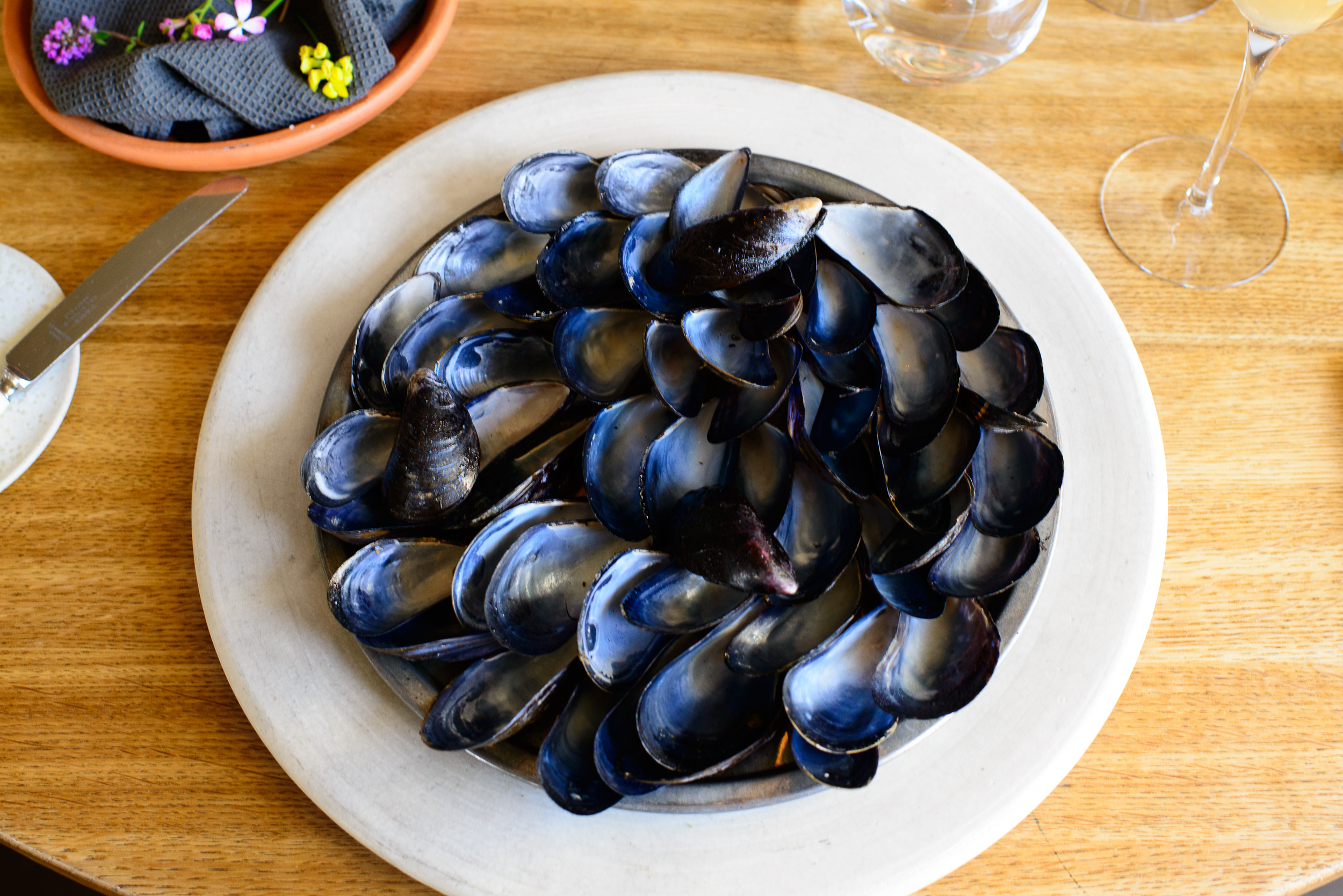 5th Course: Blue mussel and celery