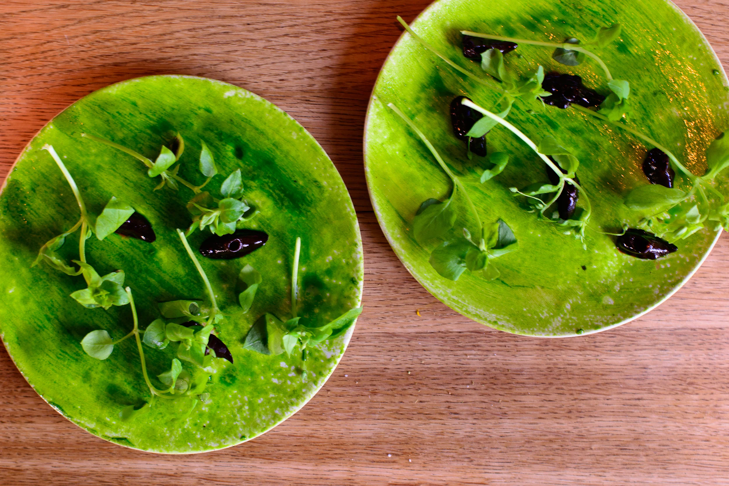 19th Course: Snails and parsley
