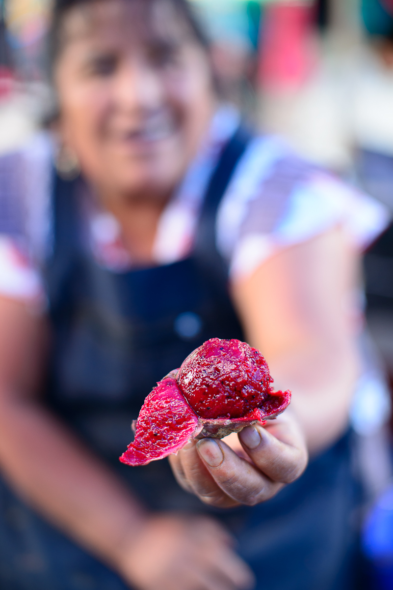 Local cactus fruit