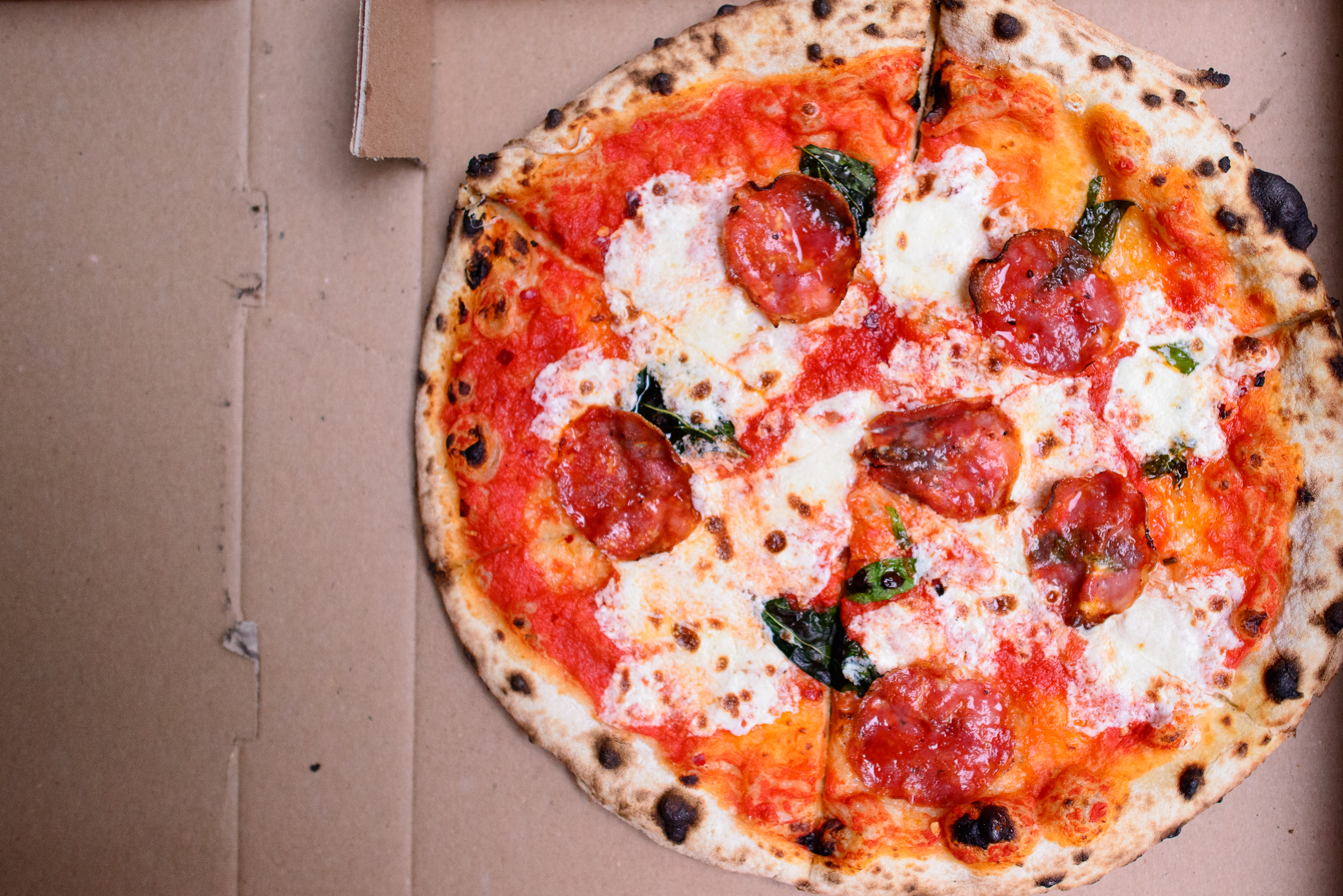 The Bee Sting - Soppresatta, mozzarella, tomatoes, basil, and ho