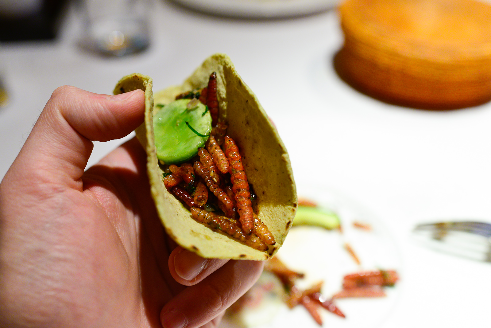 6th Course: Chinicuiles, salsa molcajeteada de chile Mixe, aguac