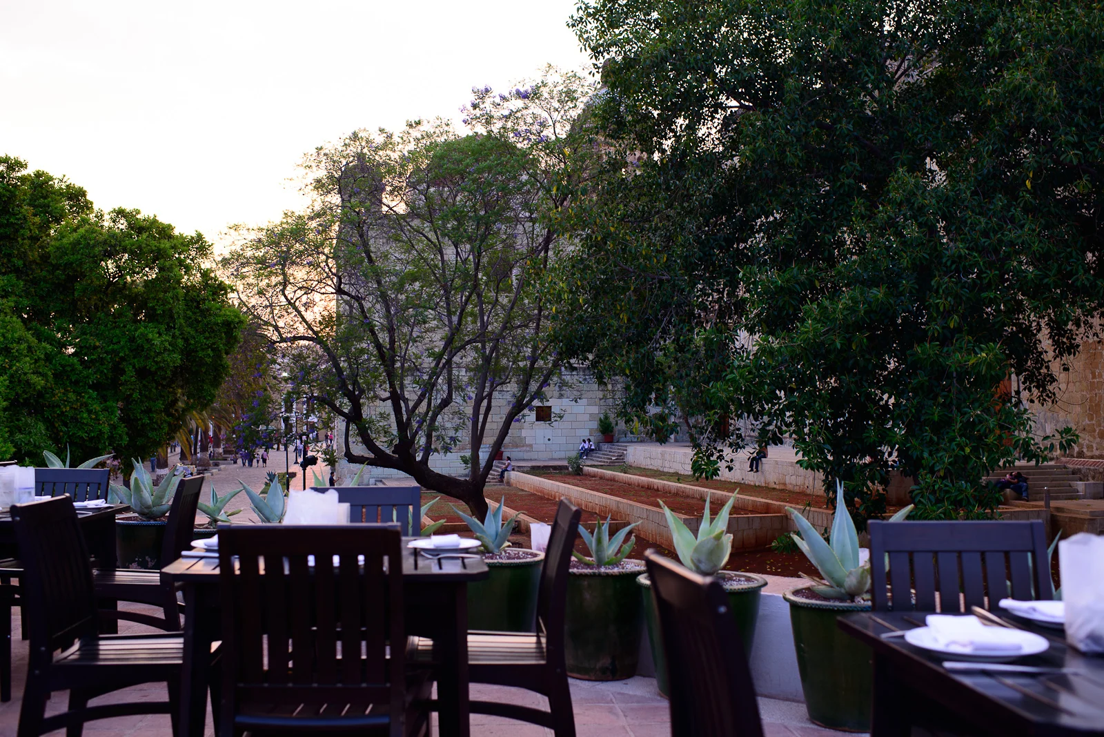La Terraza