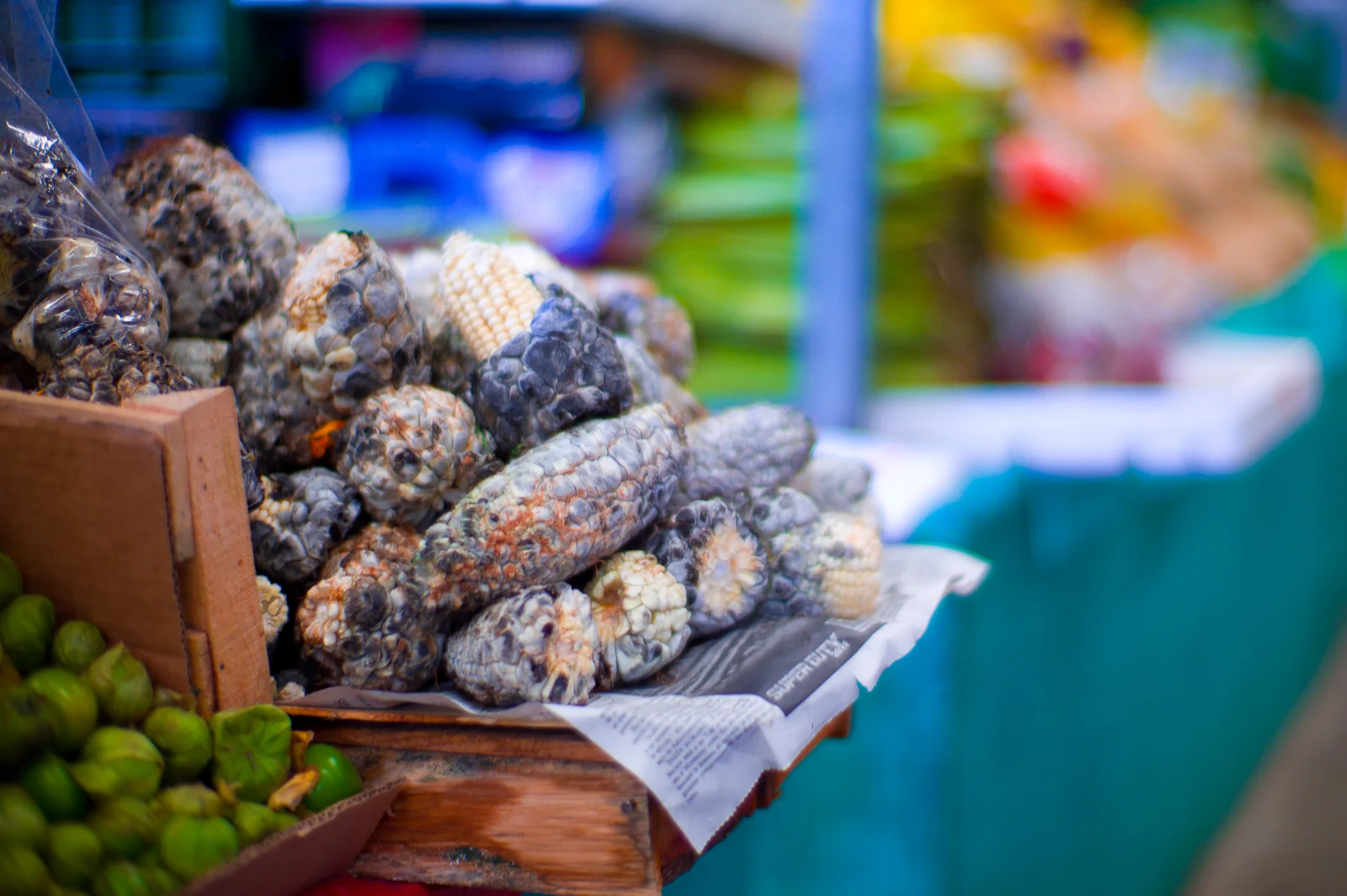 Huitlacoche (corn smut) on the cob