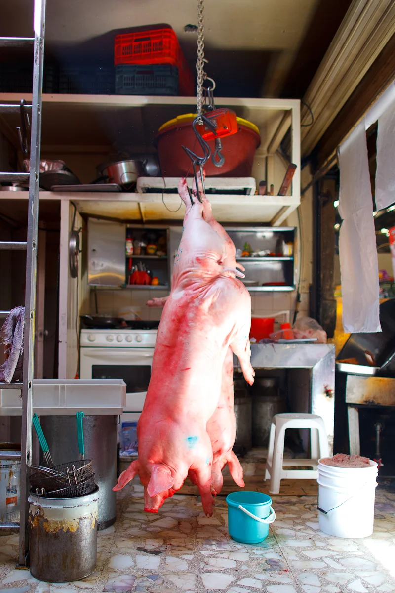 Pig delivery day at the market