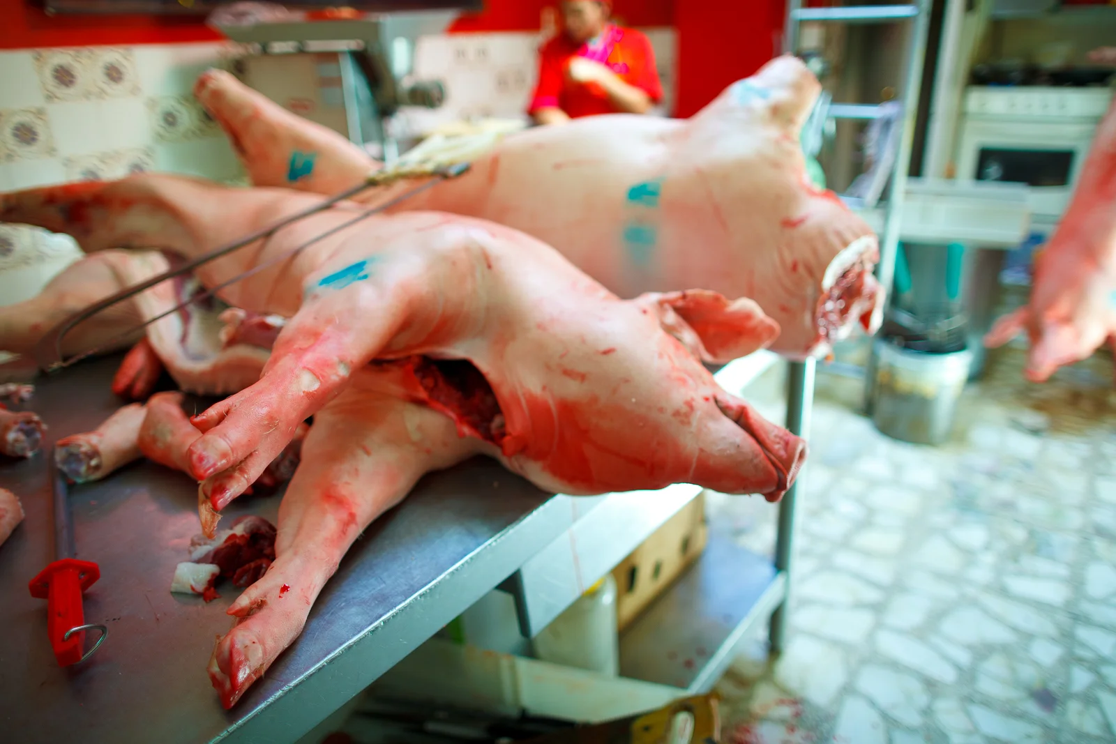 Pigs waiting to be butchered