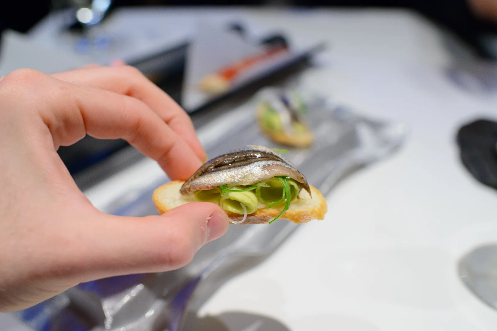 4th Course: 1991 Coca de aguacate, anchoas, y cebolla tierna (Co