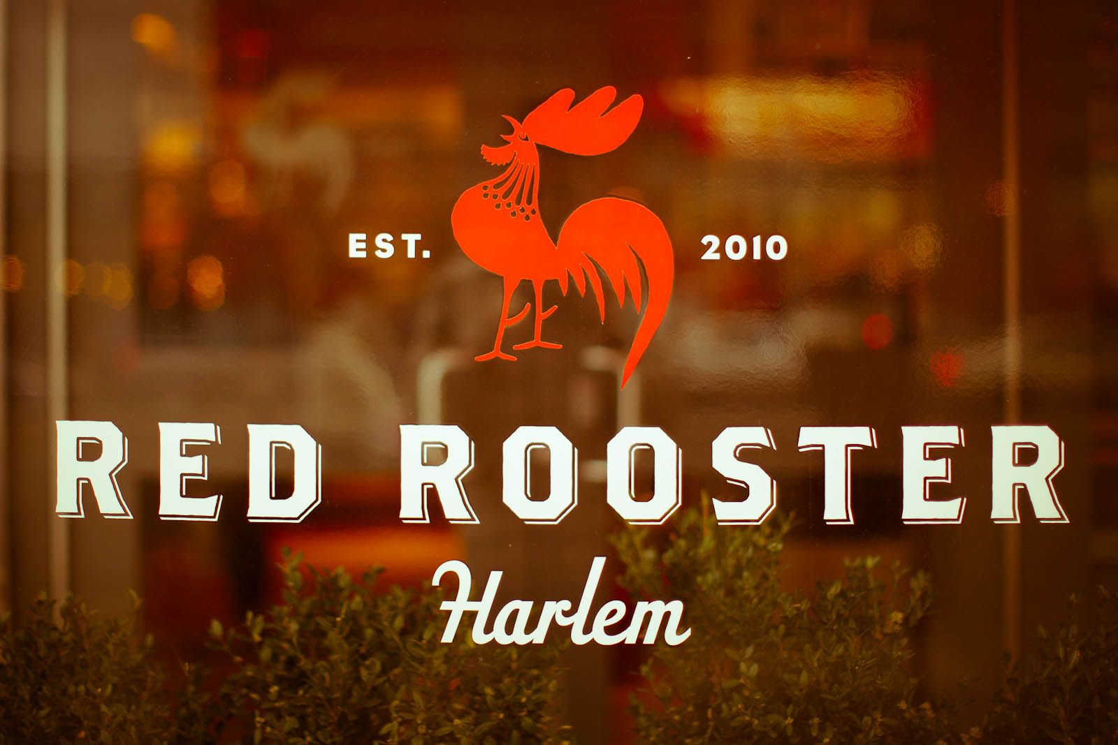 Red Rooster, Harlem