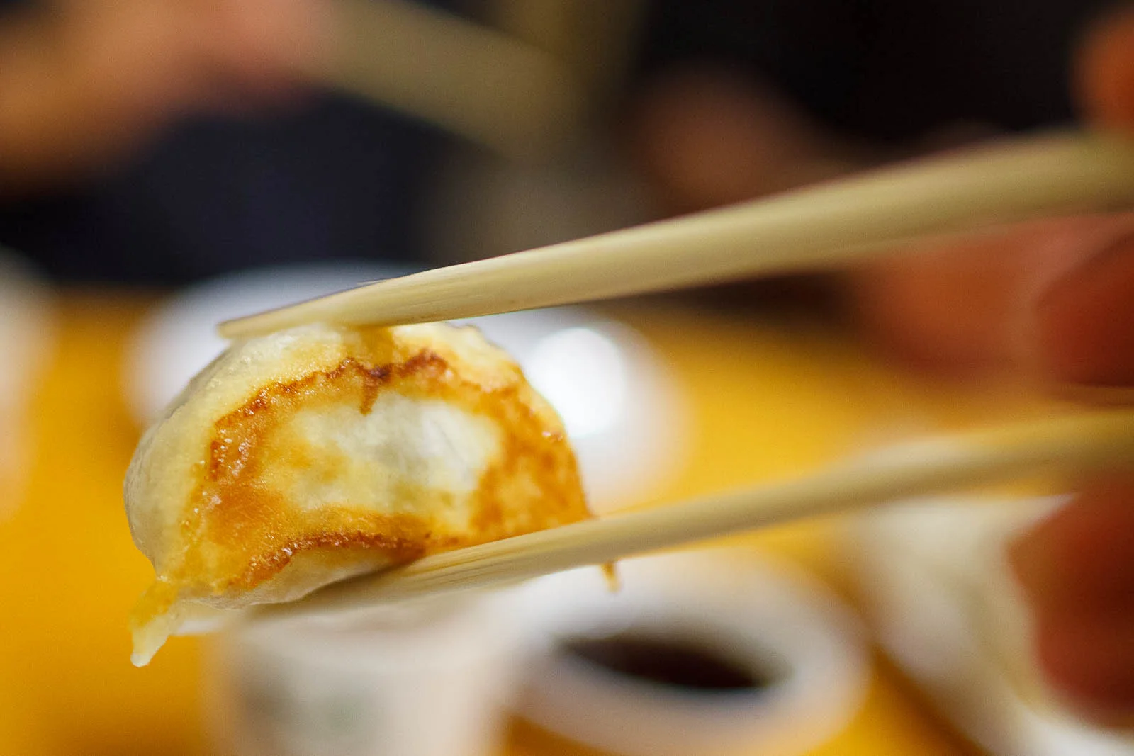 Pan fried pork dumpling