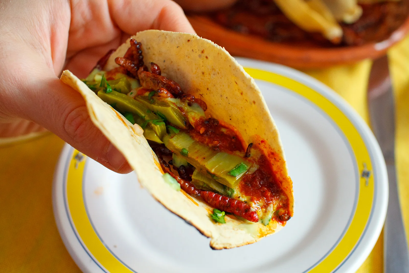 Taco de gusanos de maguey al aceite de olivo (Maguey worms cooked in olive oil) ($299 MXP)