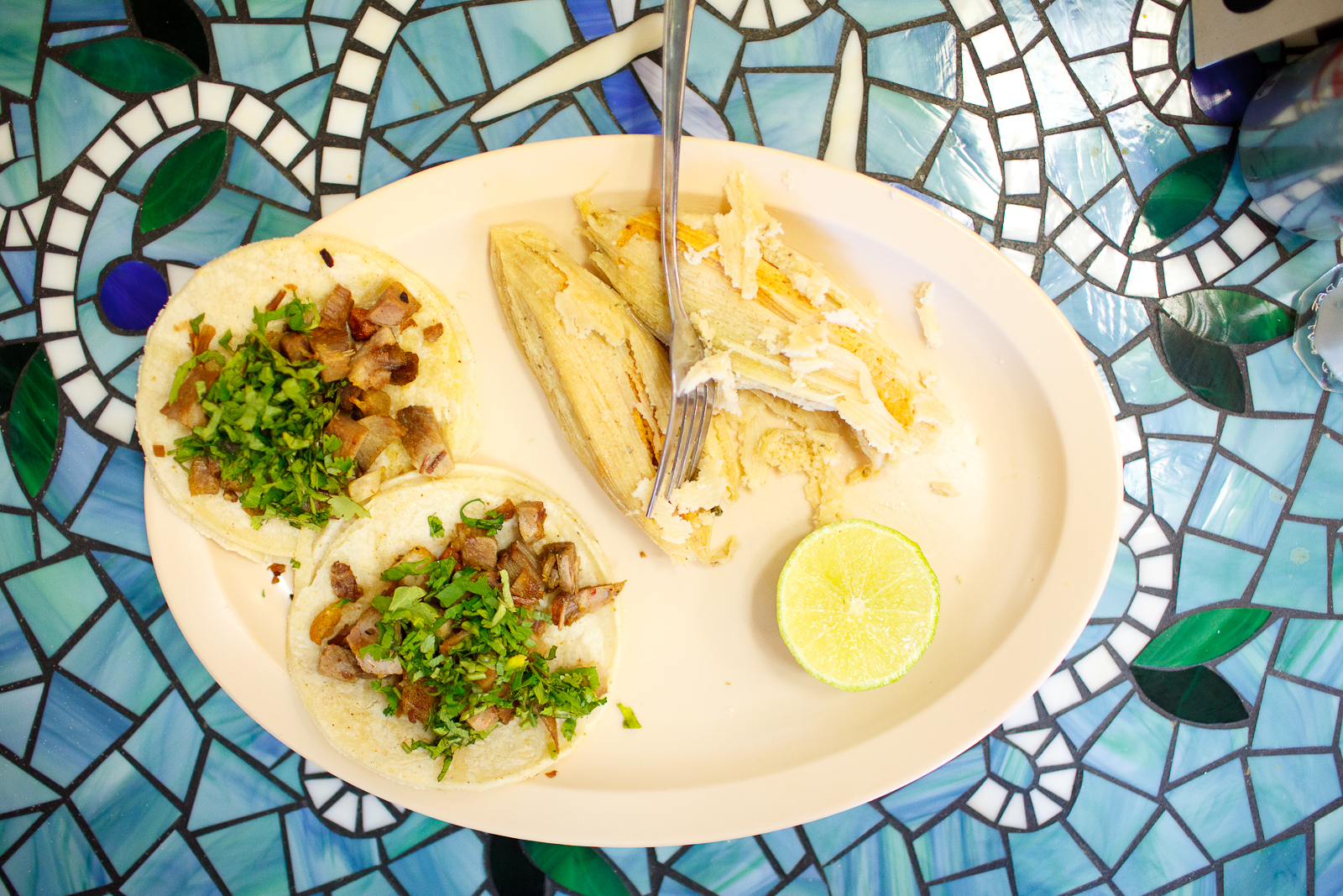 Taquitos de carnitas con tamales de pollo y carne