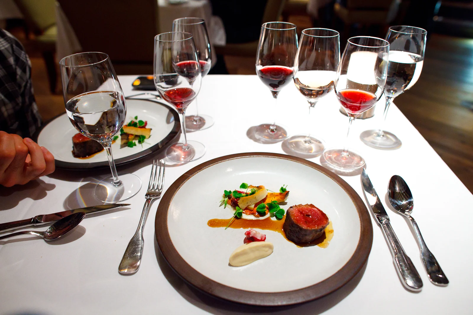 7th Course: Venison, grilled with young ginger stalks, celeriac, mushrooms and sorrel
