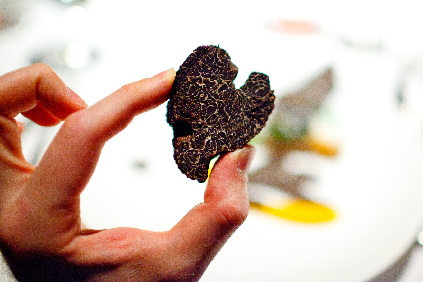 American Perigord-style black truffle, from just outside Knoxville Tennessee