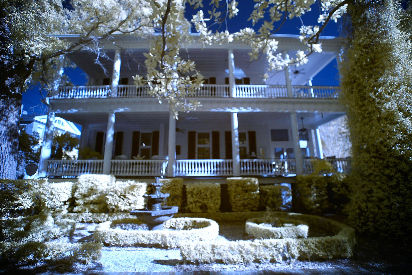 The Governor's House