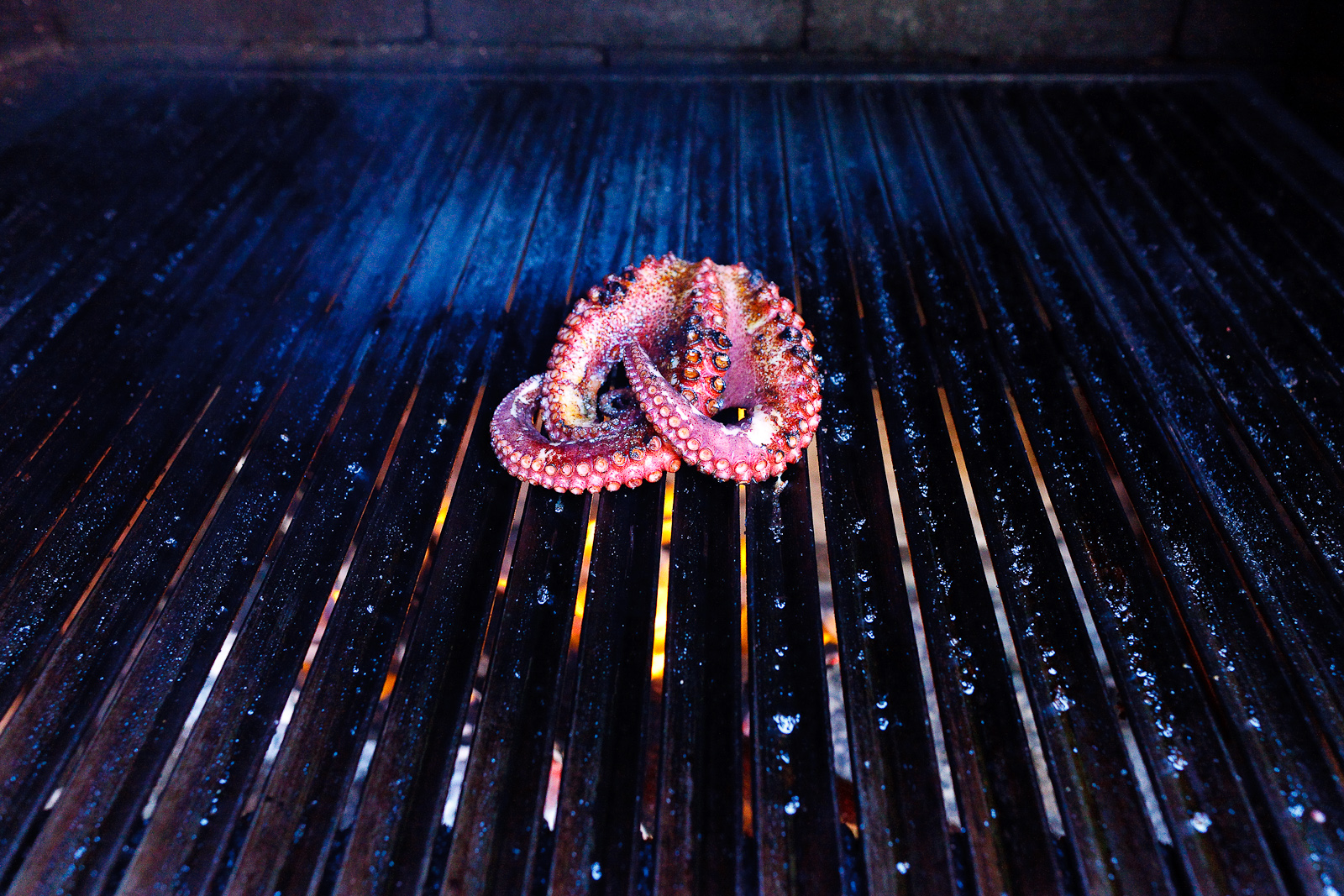 Pulop a la Parilla (Octopus on the grill)