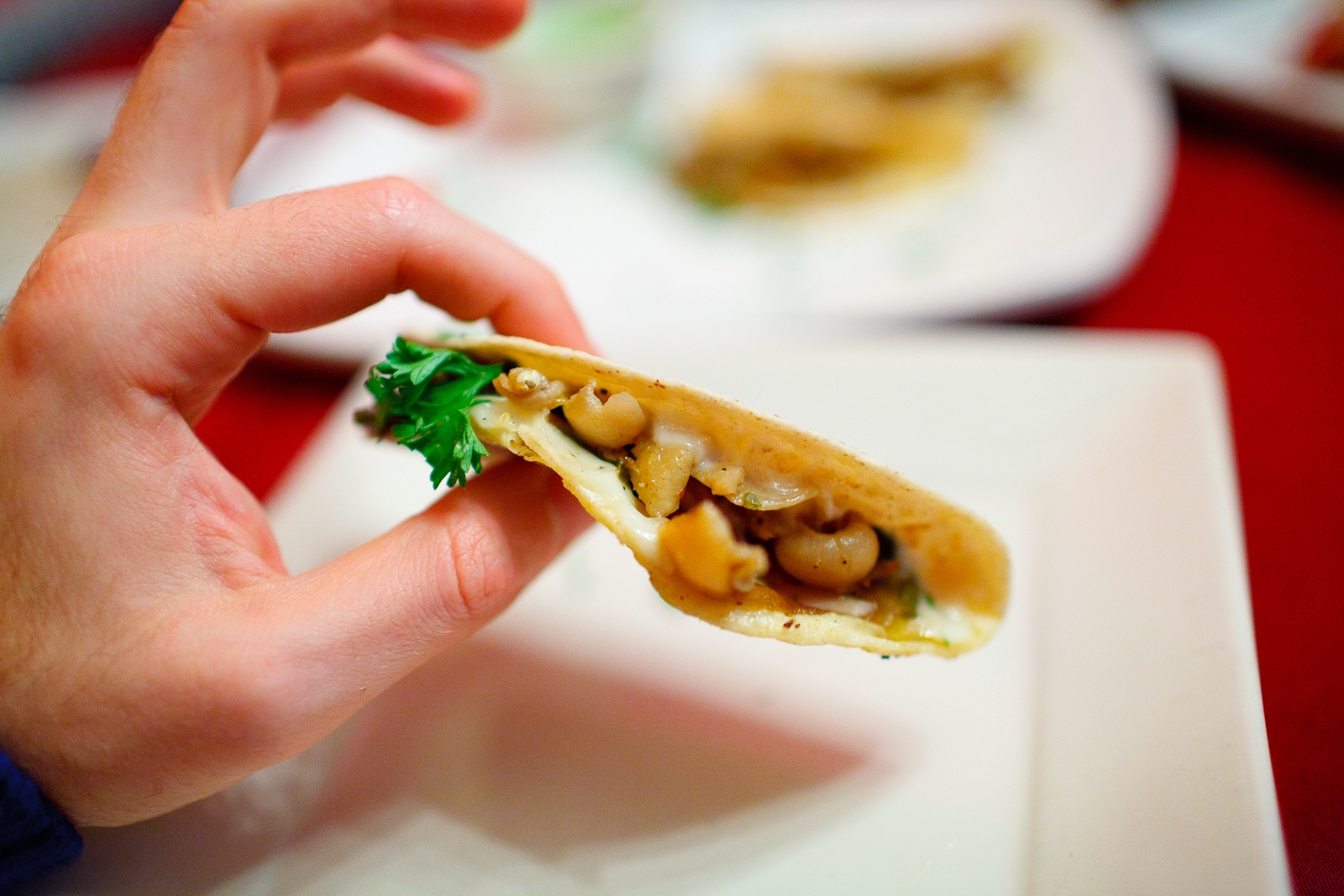 Clam taco: clam meat, strips of spicy green chile, roasted onions, smoky salsa ($90 MXP)