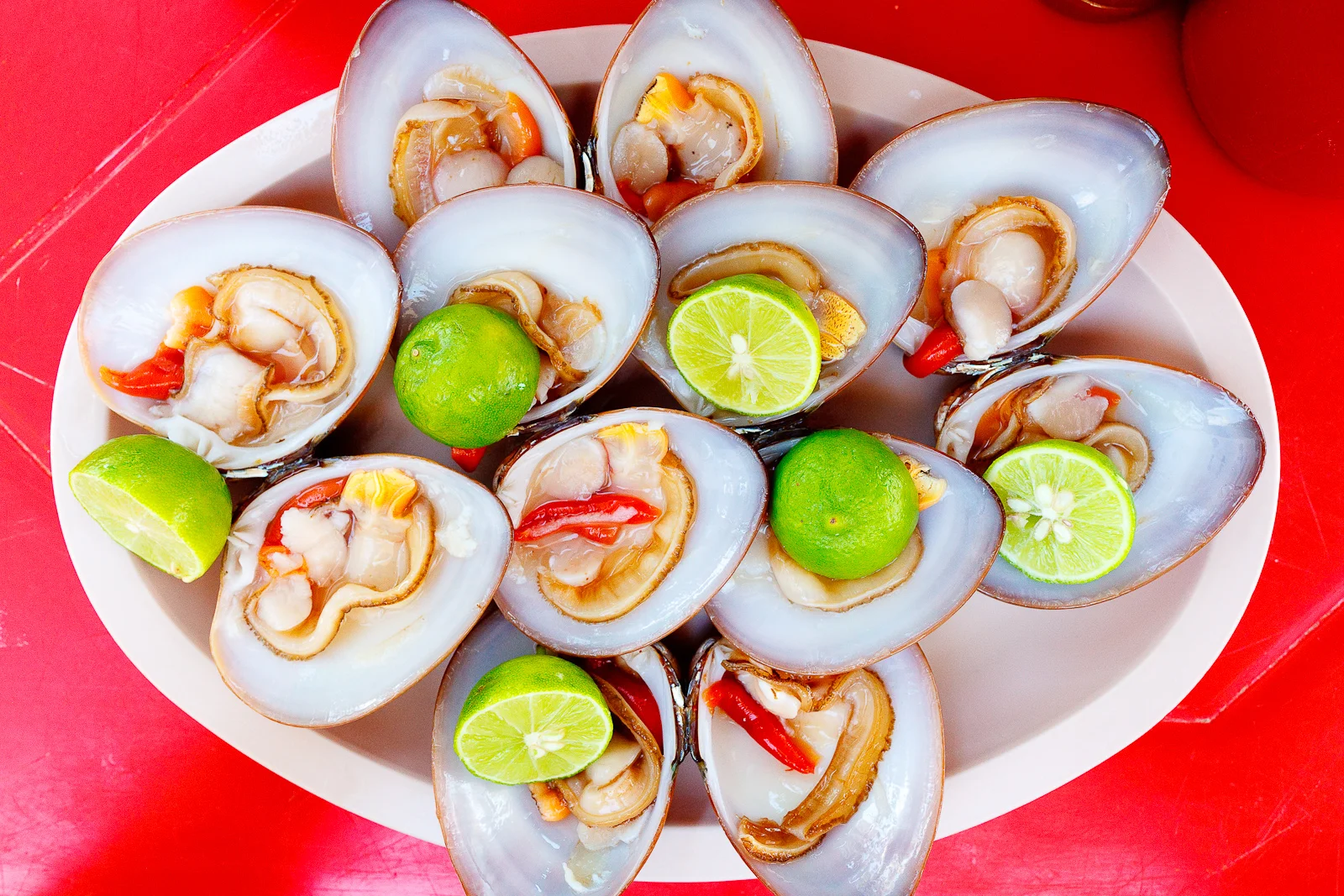 Almejas chocolatas (Live chocolate clams) (MXP $35)
