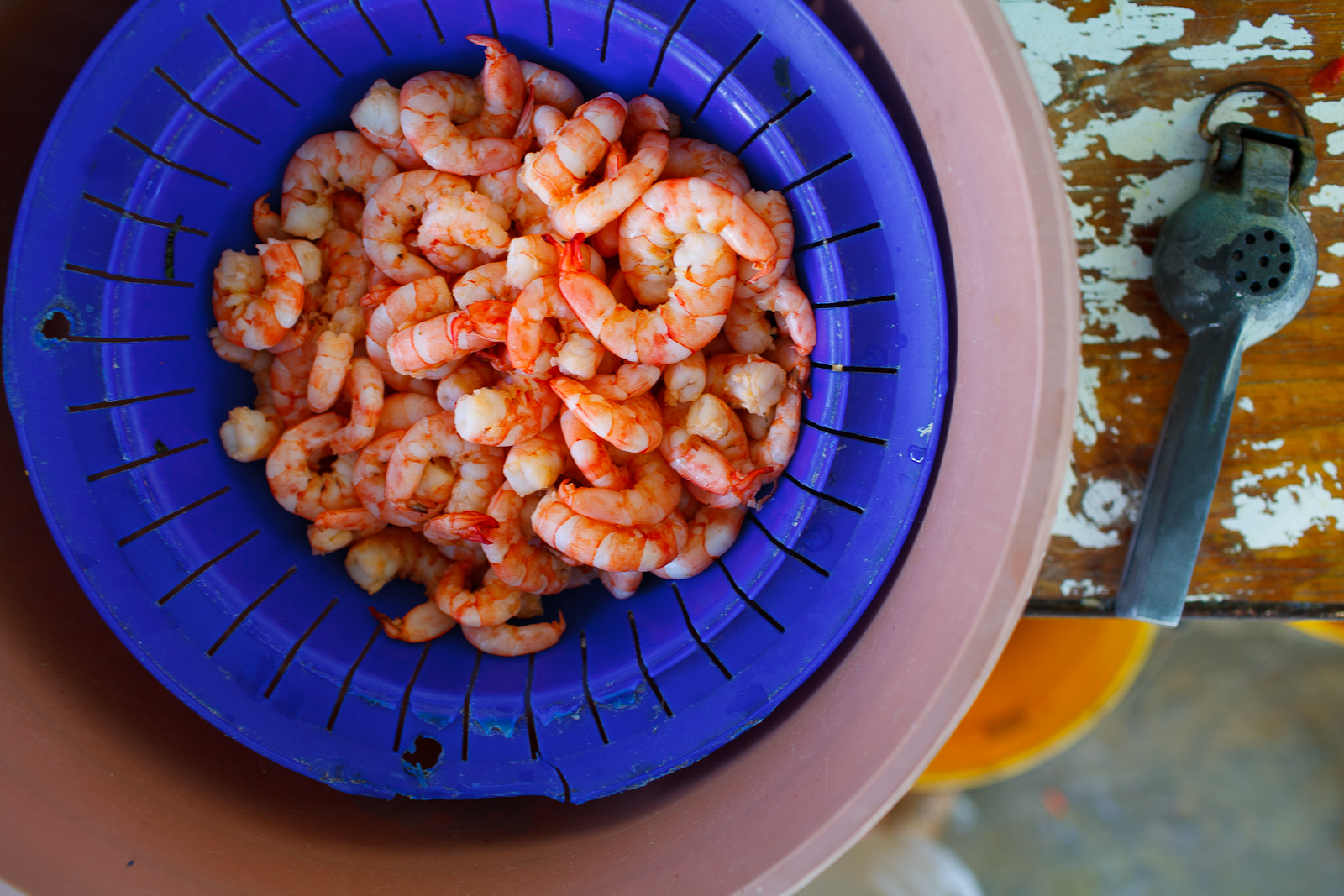 Bucket of shrimp