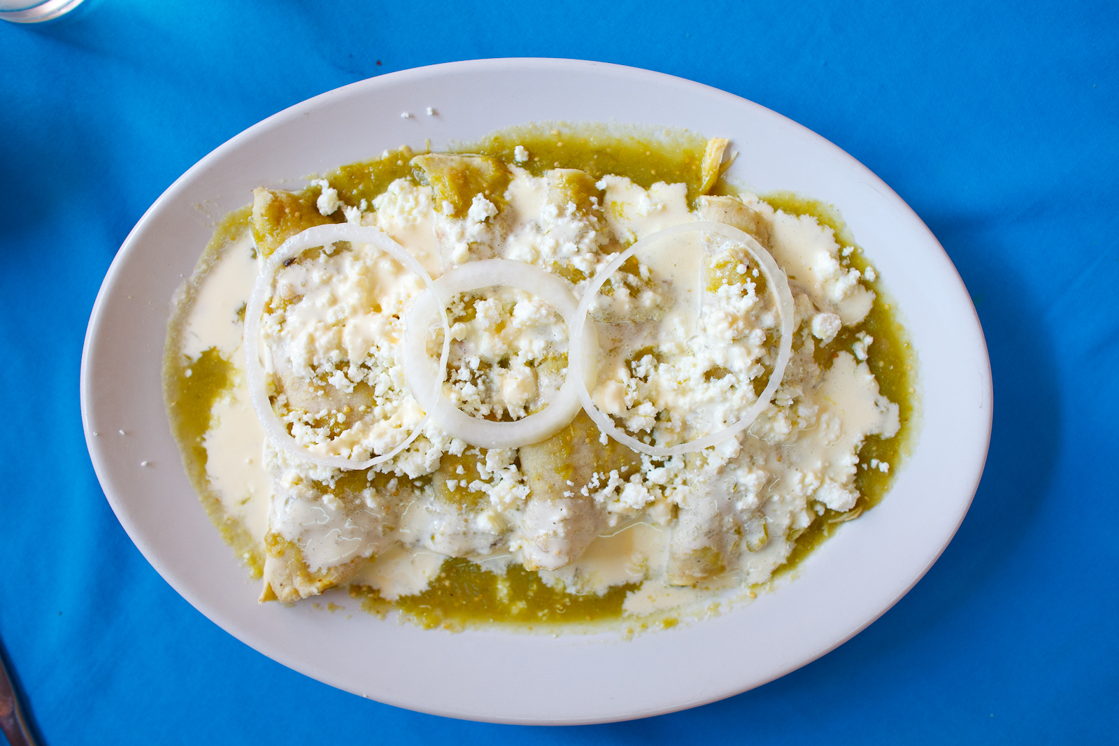 Enchiladas con pollo con salsa verde (chicken enchiladas with green salsa, onion, fresh cheese, and cream) (38 MXP)