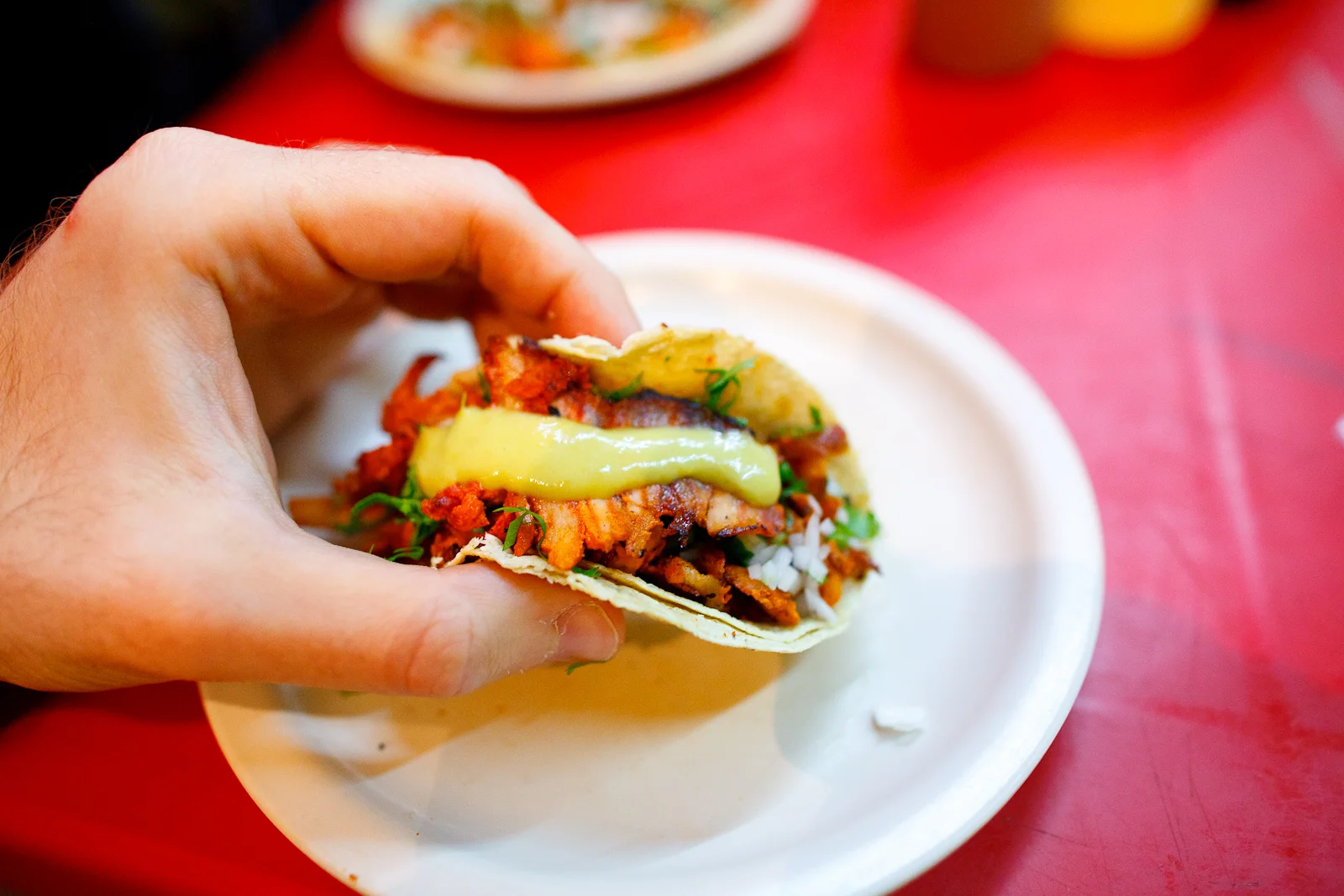 Taco al pastor, pork from the spit, cilantro, onion, and pineapple on a corn tortilla