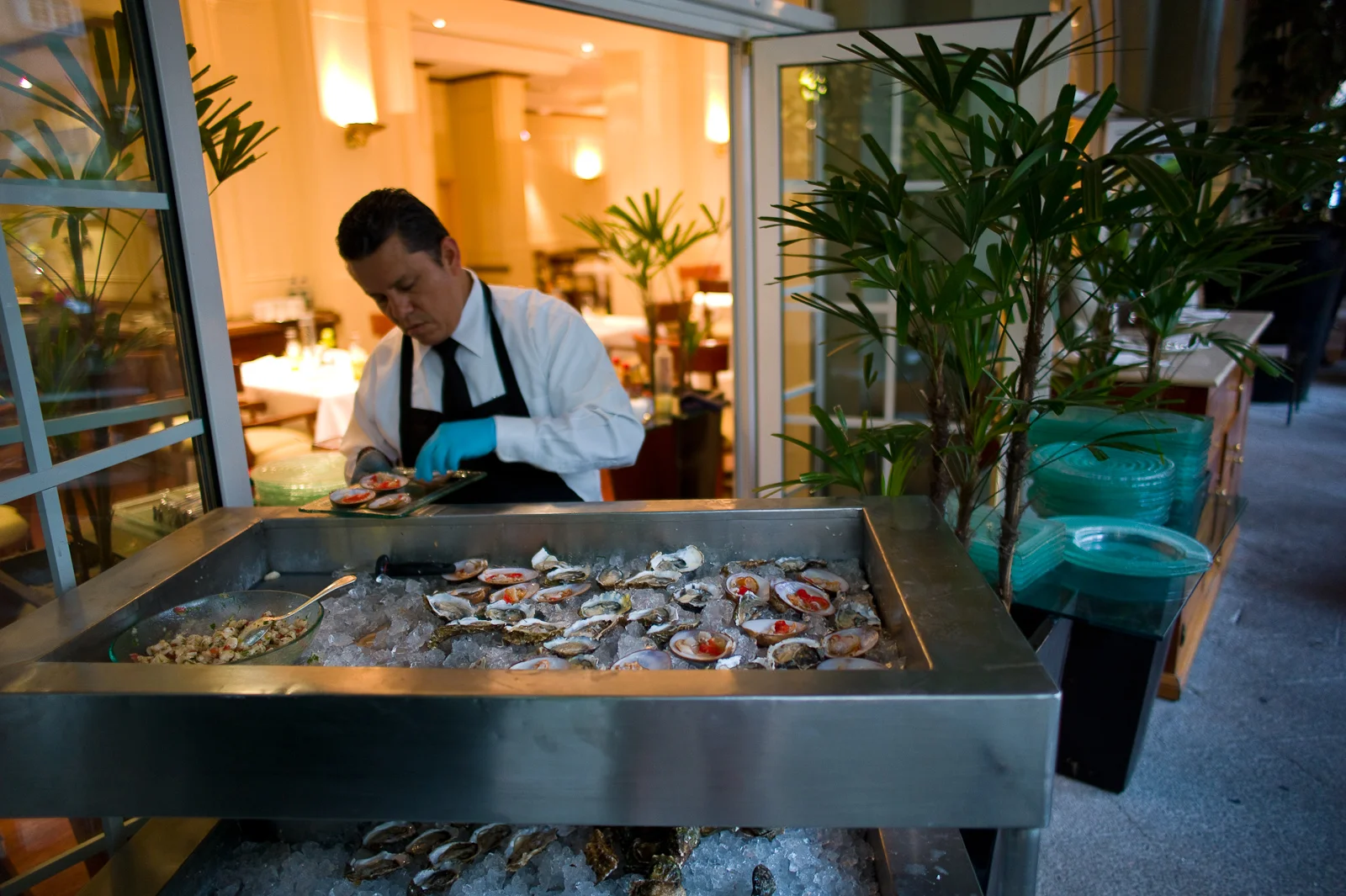 Shucking almejas chocolatas and oysters
