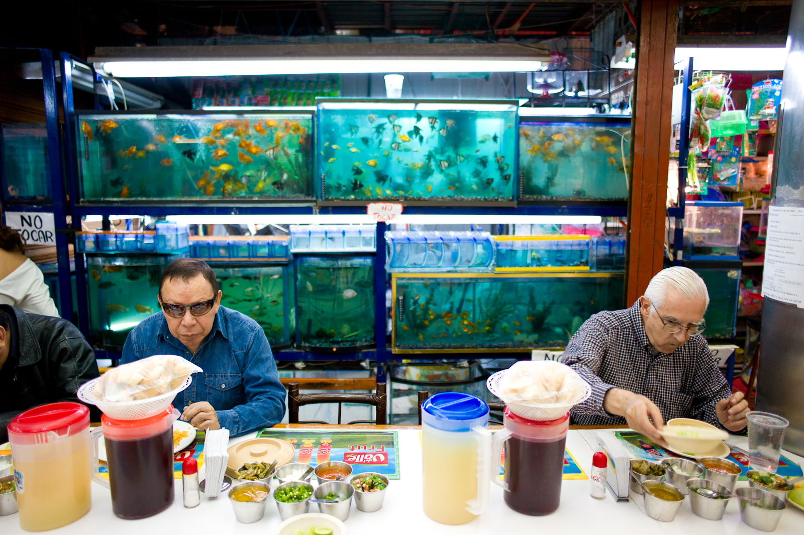 Fresh fish in Mercado Coyoacán.jpg