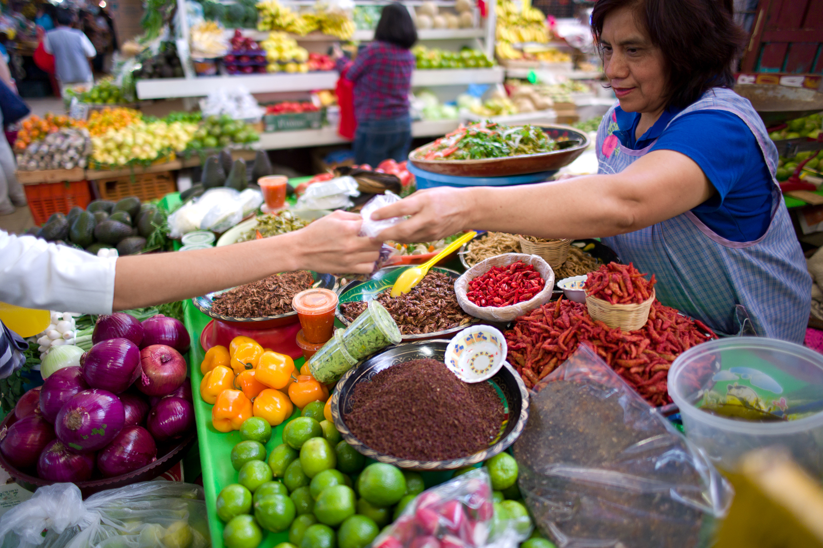 Buying chapulines (grasshoppers)