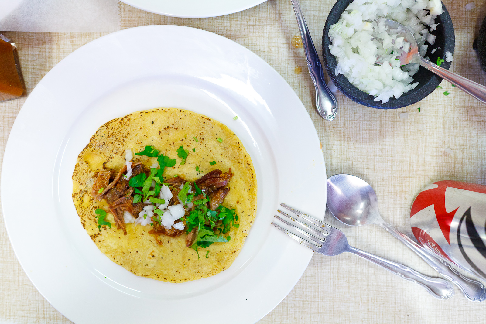 Homemade corn tortilla, birria, cilantro, onion