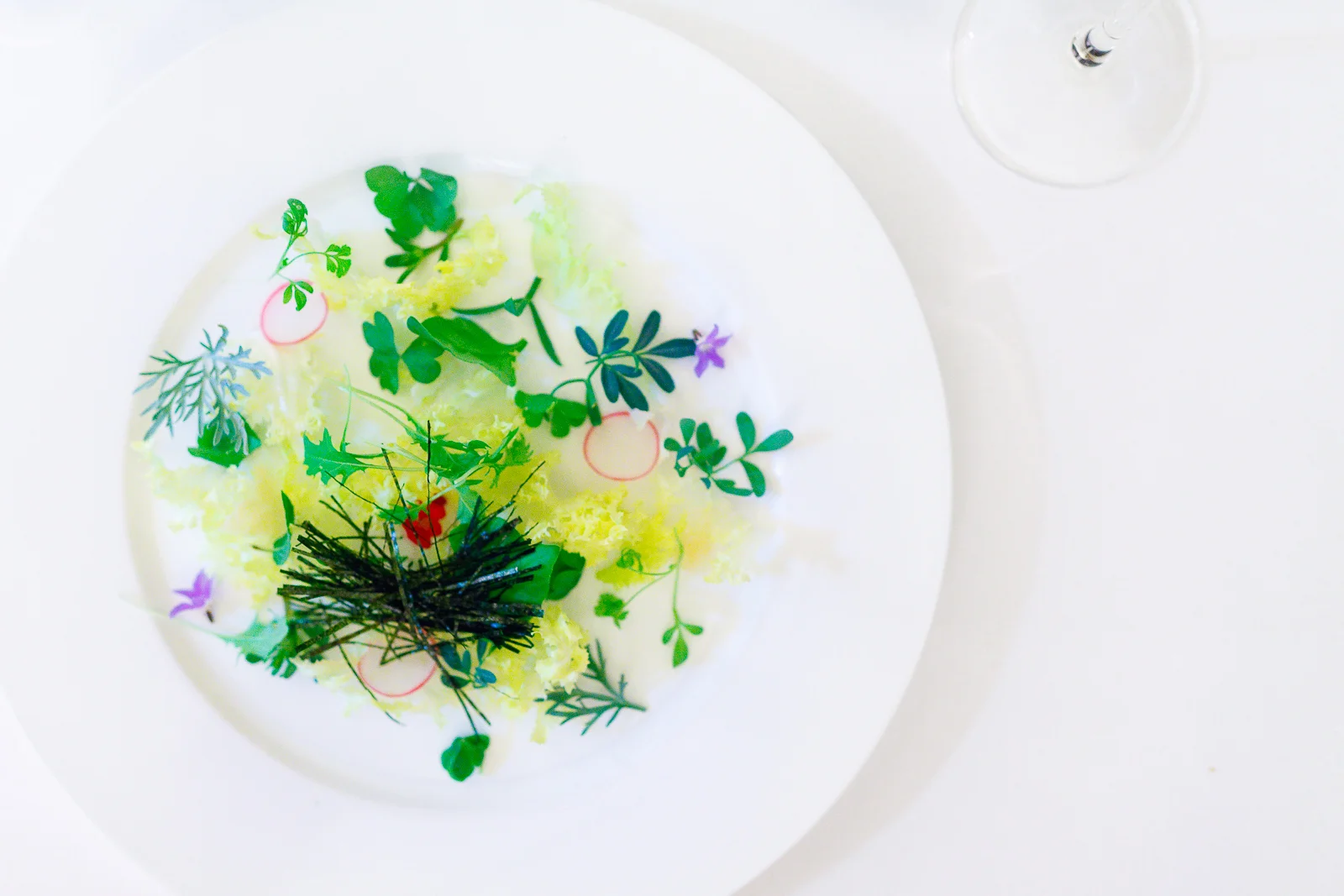 1st Course: Insalata di alghe, erbe aromatiche & radici