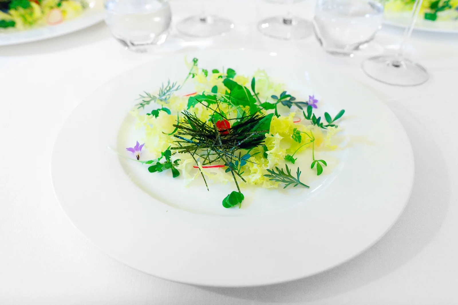 1st Course: Insalata di alghe, erbe aromatiche & radici, side view
