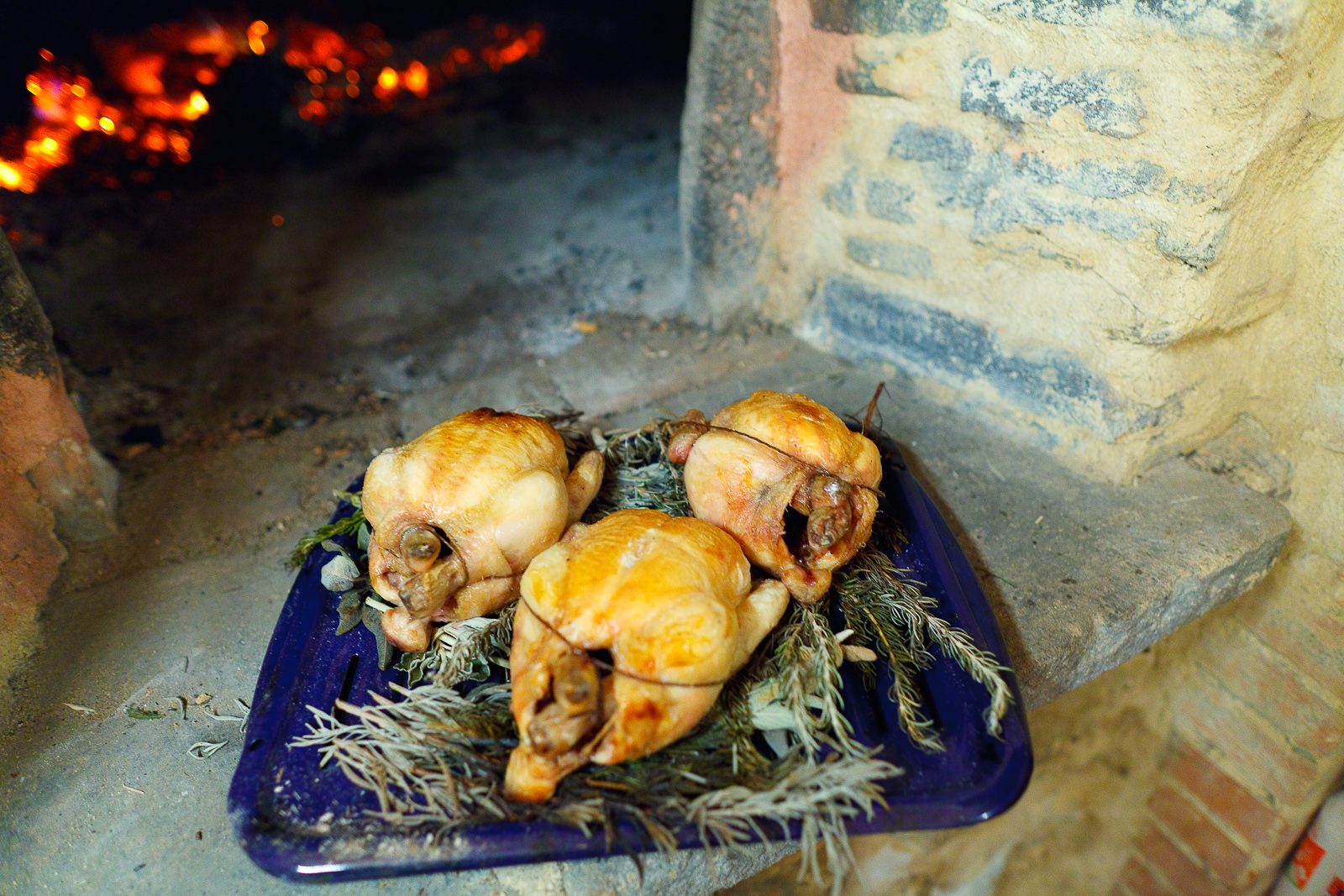 Chicken roasted on a bed of sage, rosemary, and lavender