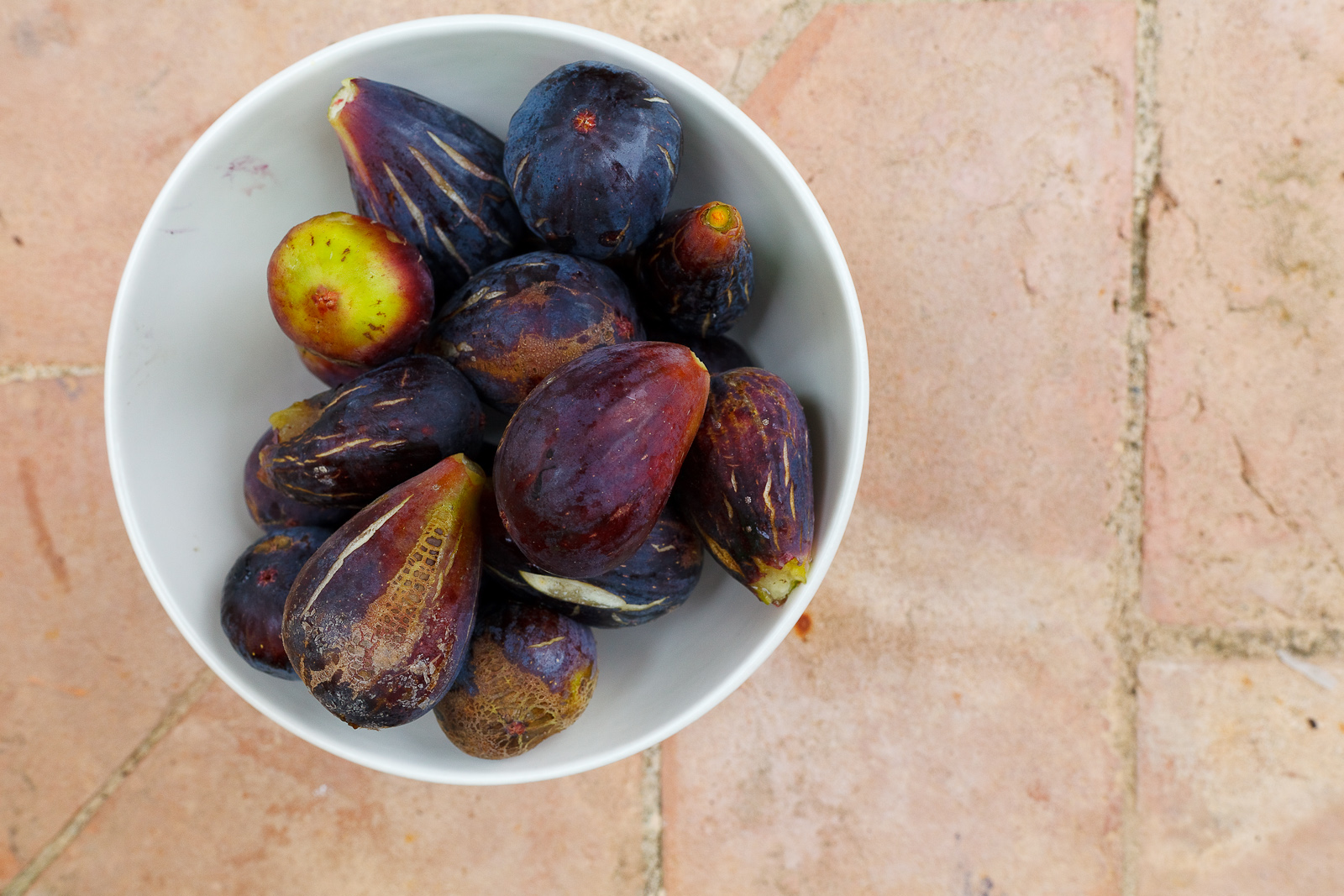 Fresh figs from a nearby tree