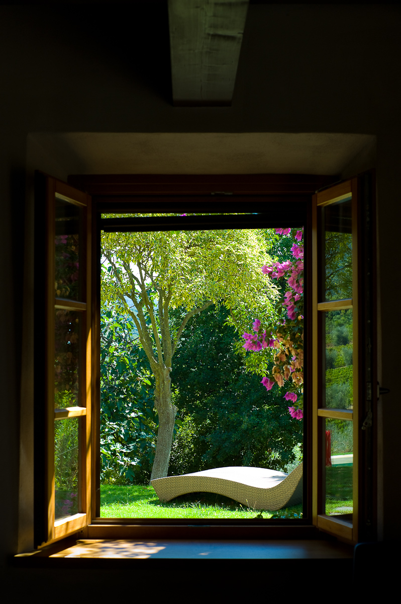 View from our villa in Bolgheri, Tuscany