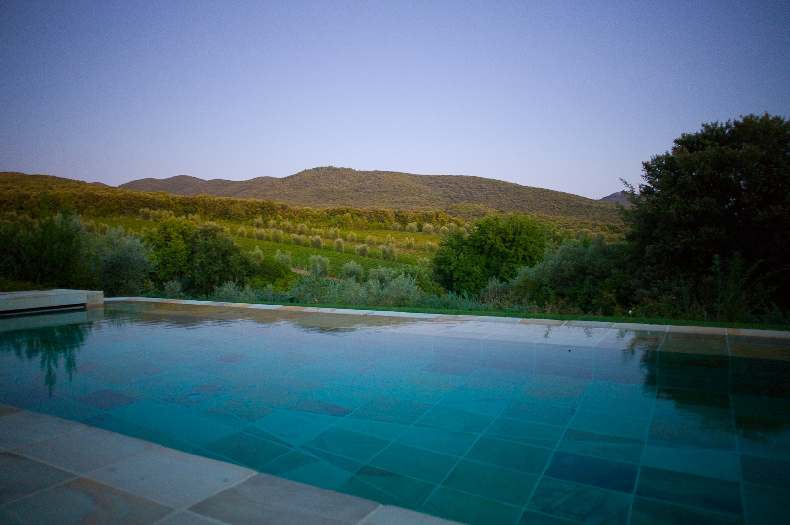 Swimming pool overlooking the vineyard