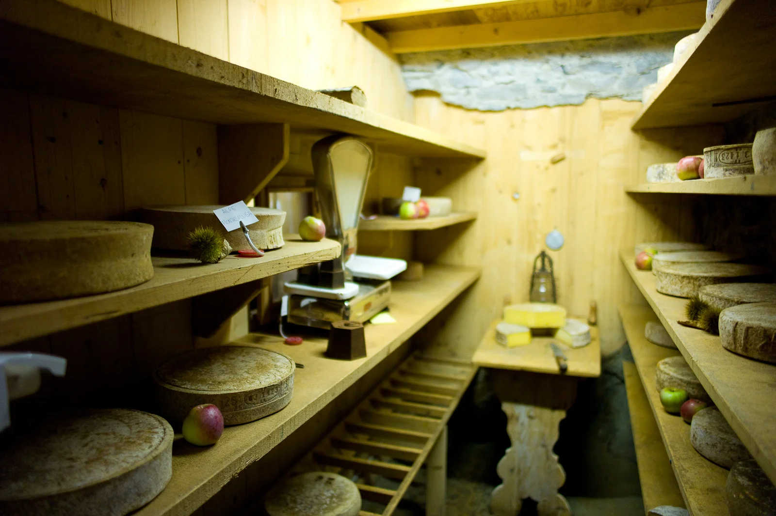 Cheese cellar