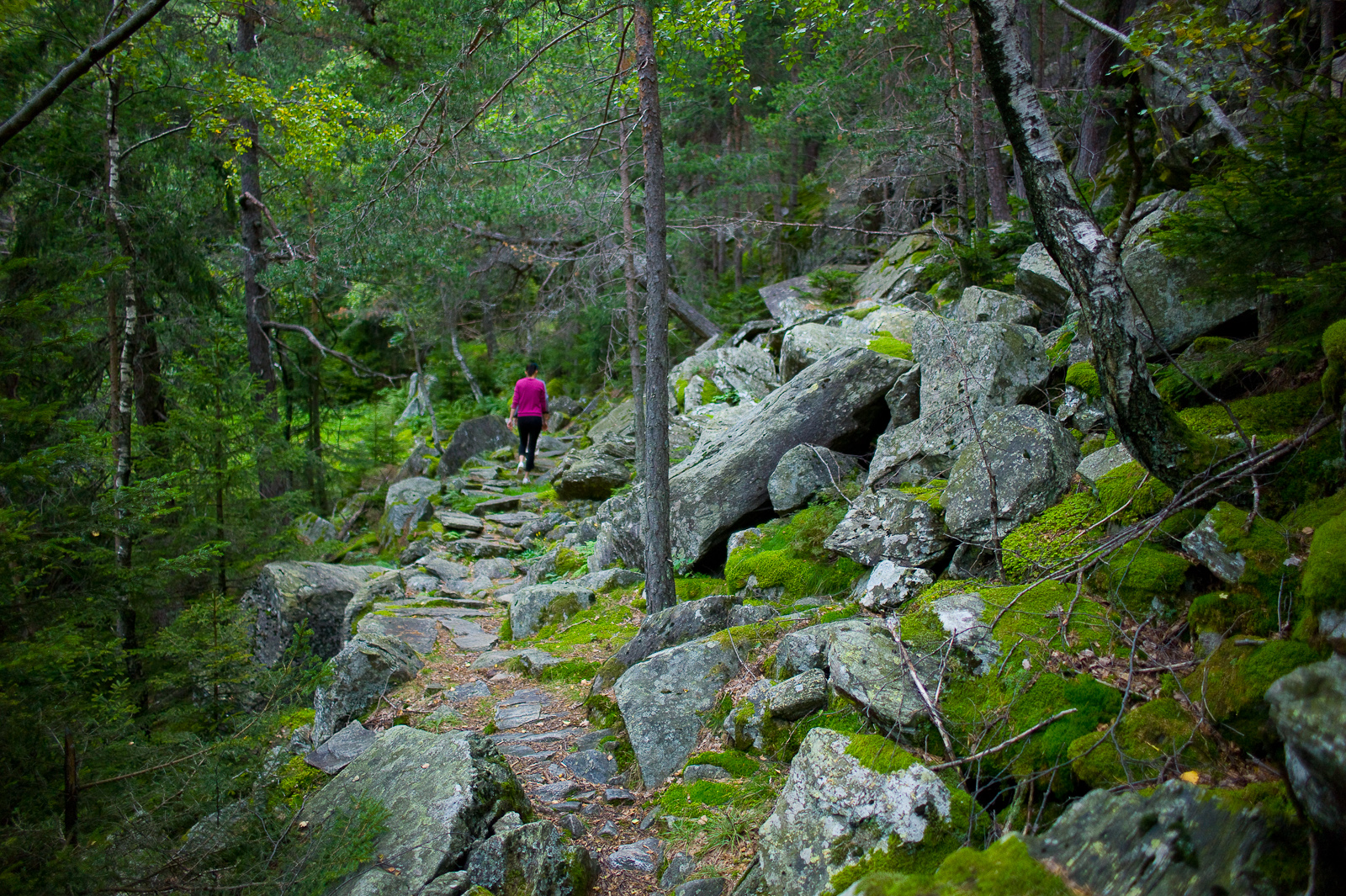 Hike through the hills of San Giacomo Filippo