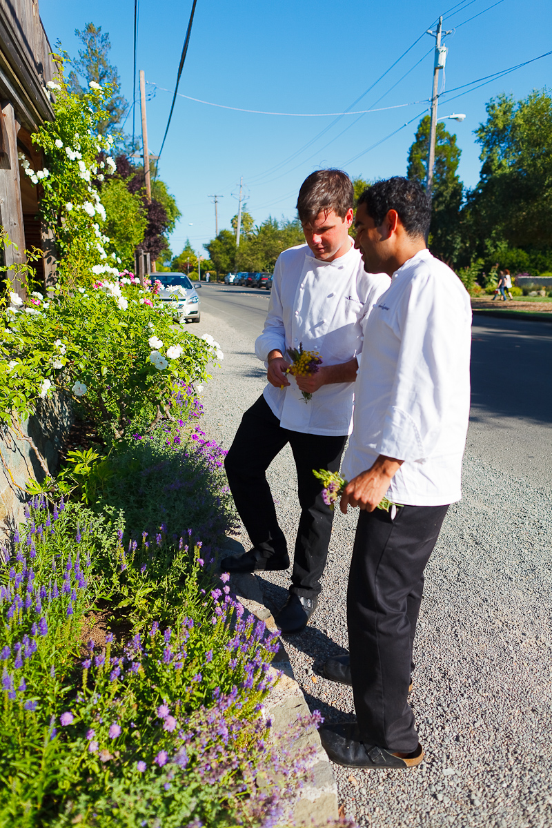 Clipping Flowers from the Roadside Garden