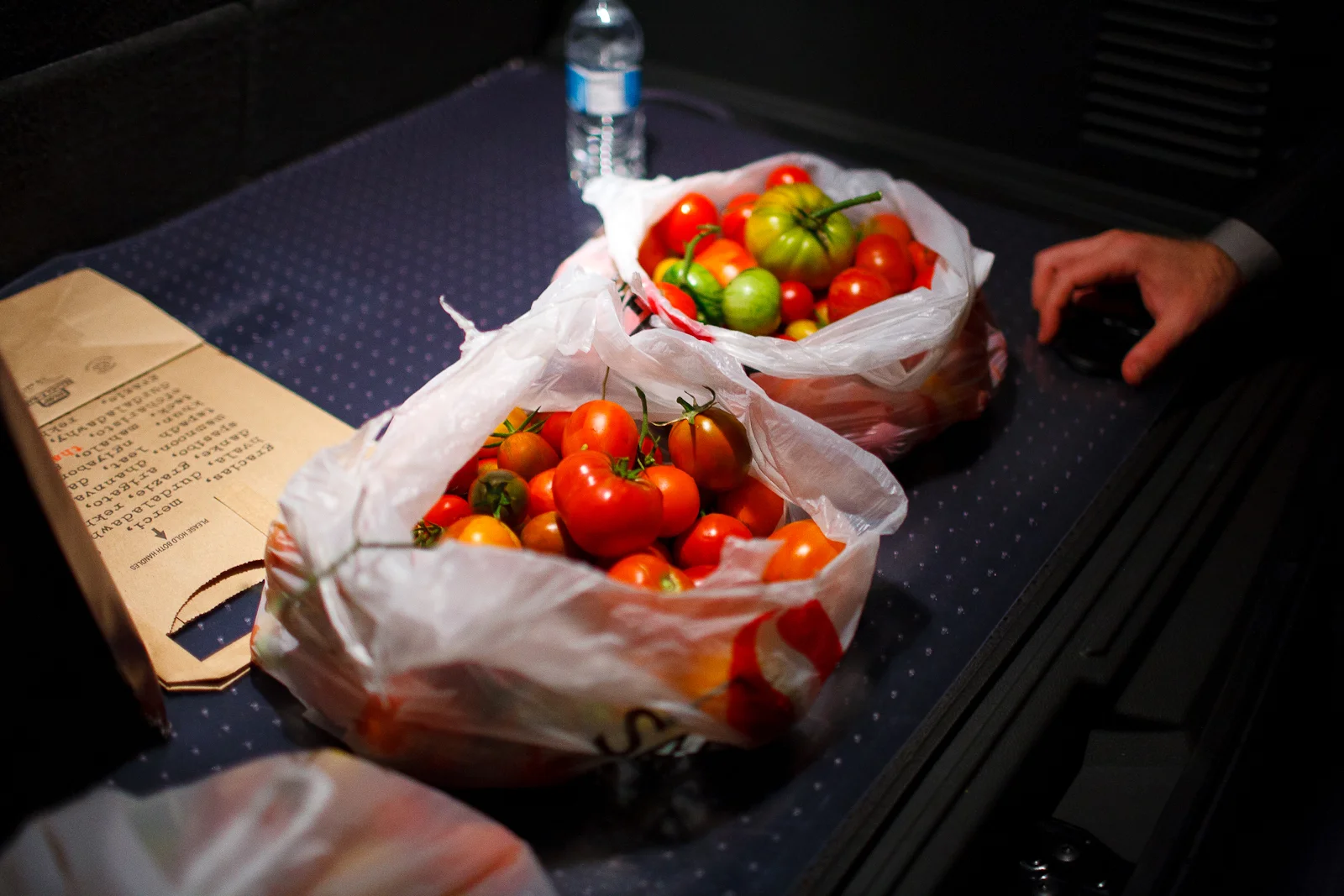 These tomatoes made it from the vine, into my car, and onto my flight back to NYC