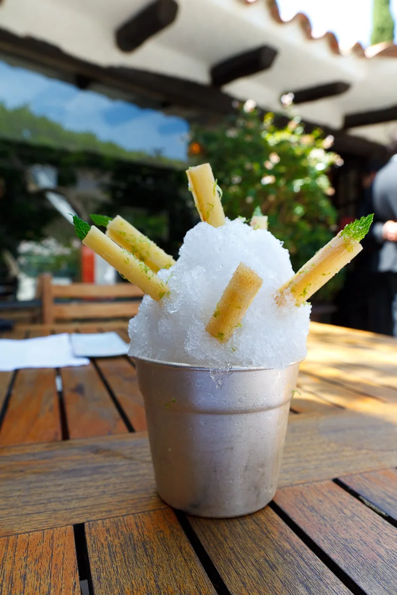 1st and 2nd Courses: Mojito - Caipirinha sugar cane (mint leaves), gin fizz (no mint)
