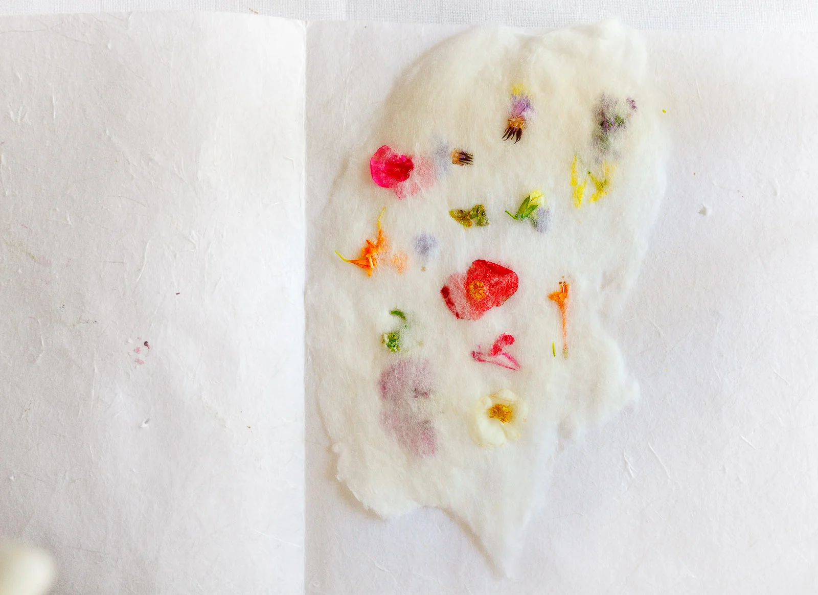 11th Course: Flowers paper