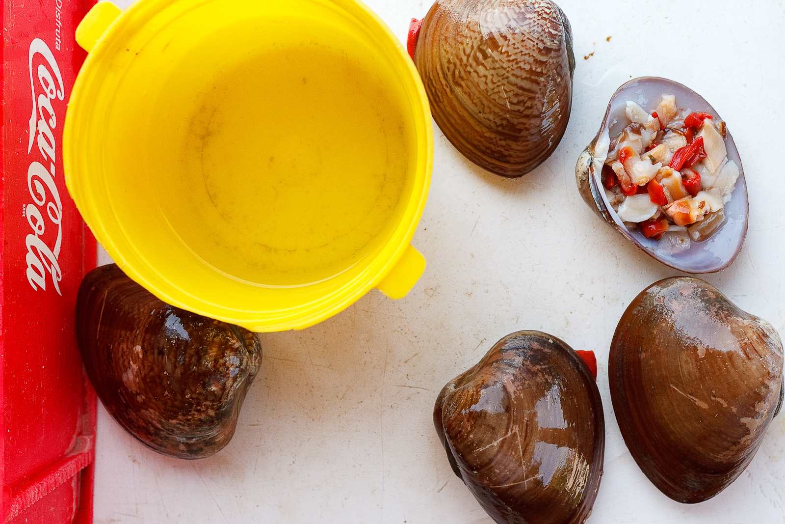 Almejas chocolatas (chocolate clams)