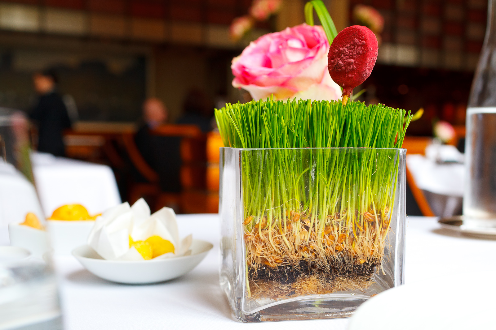 Canape: Goat cheese lollipop with beet powder