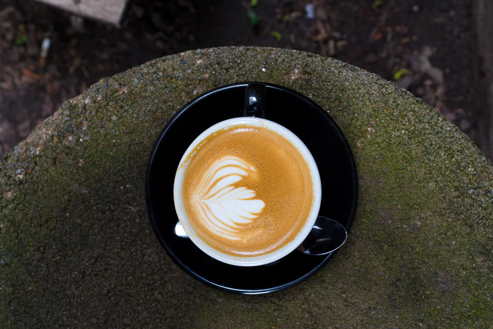 Cappuccino ($3.50)